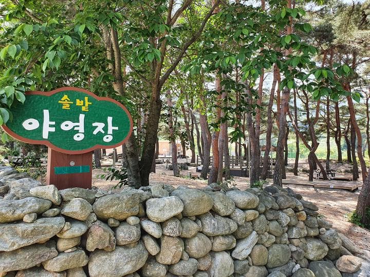 무주 솔밭야영장