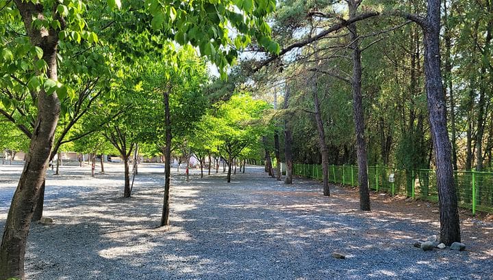 밀양스쿨오토캠핑장