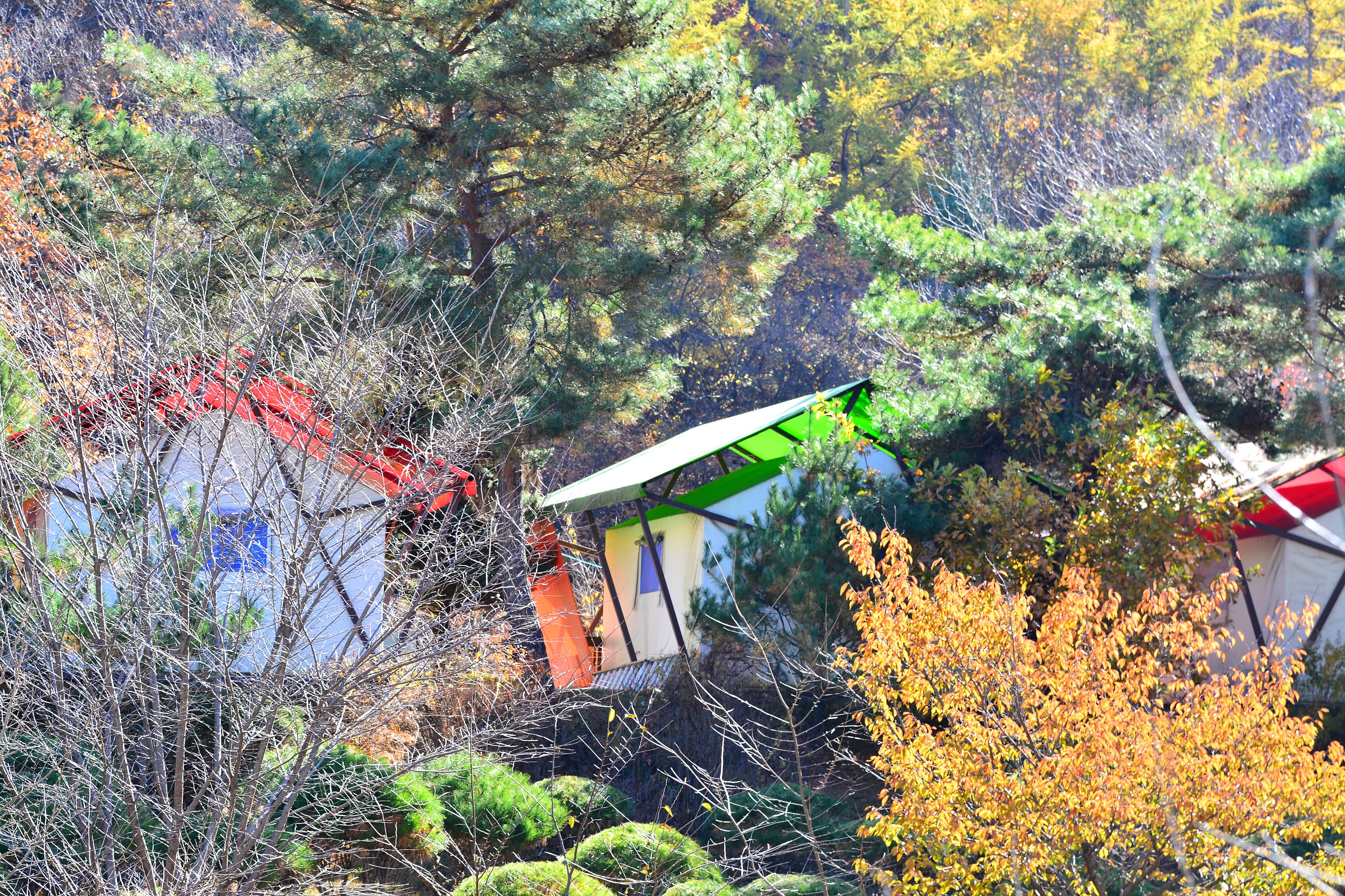 숨쉬는고래 이미지 3