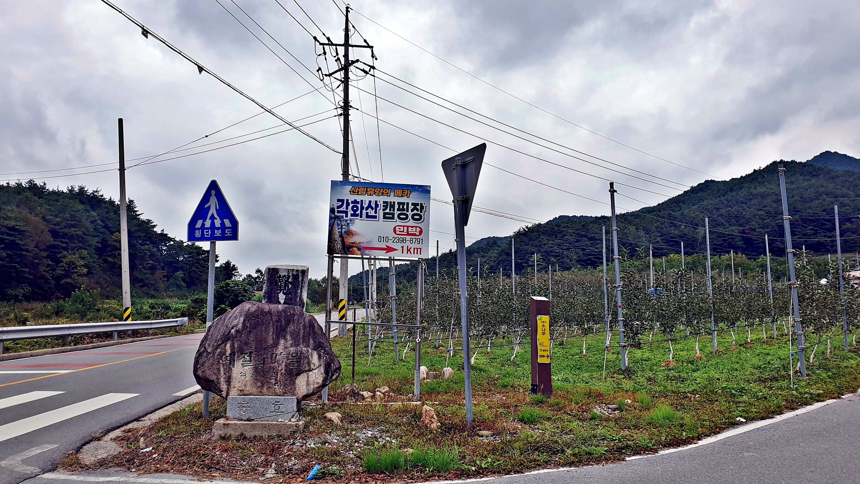 각화산캠핑장 이미지 3