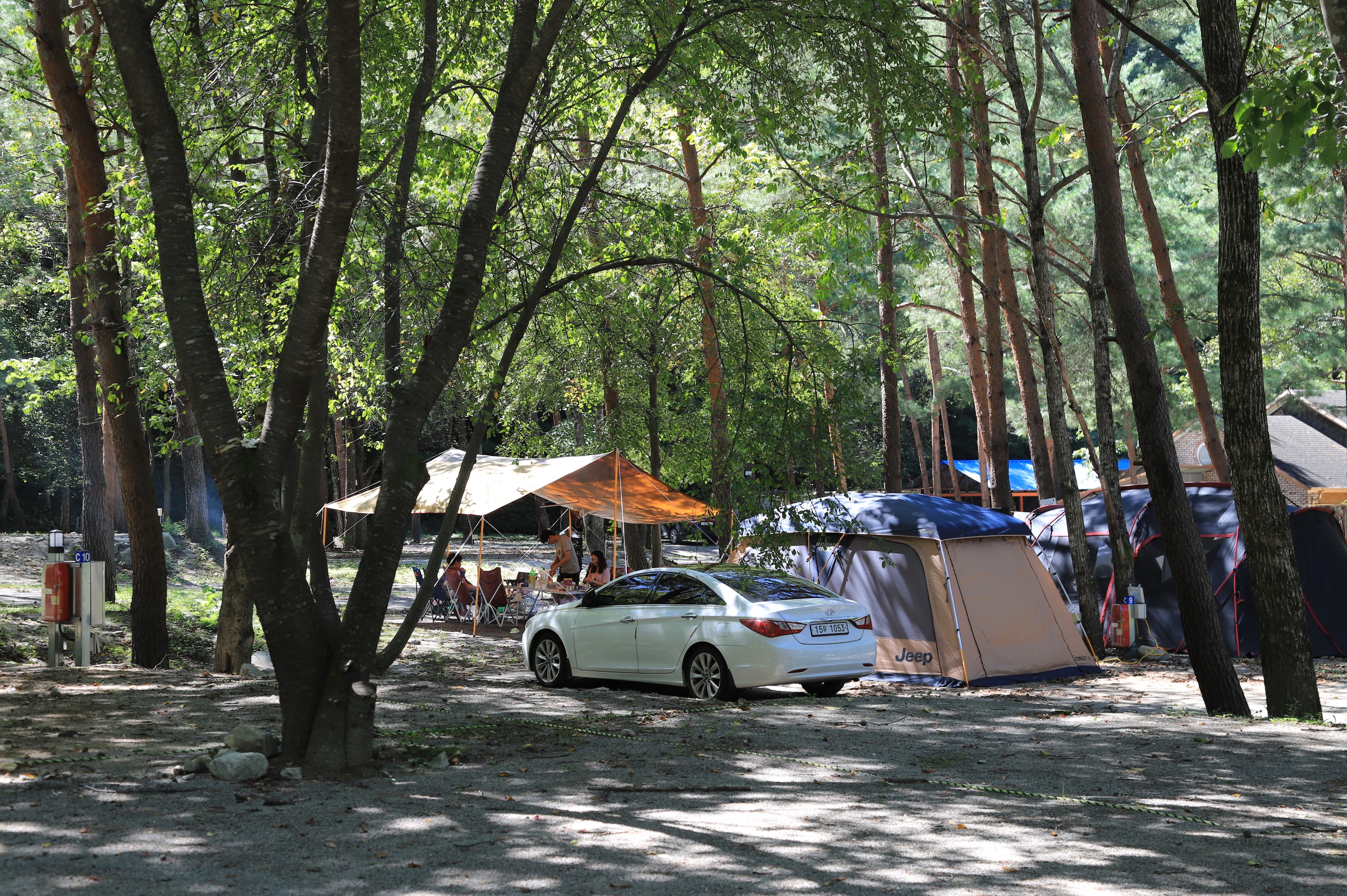 갈천 오토캠핑장 이미지 2