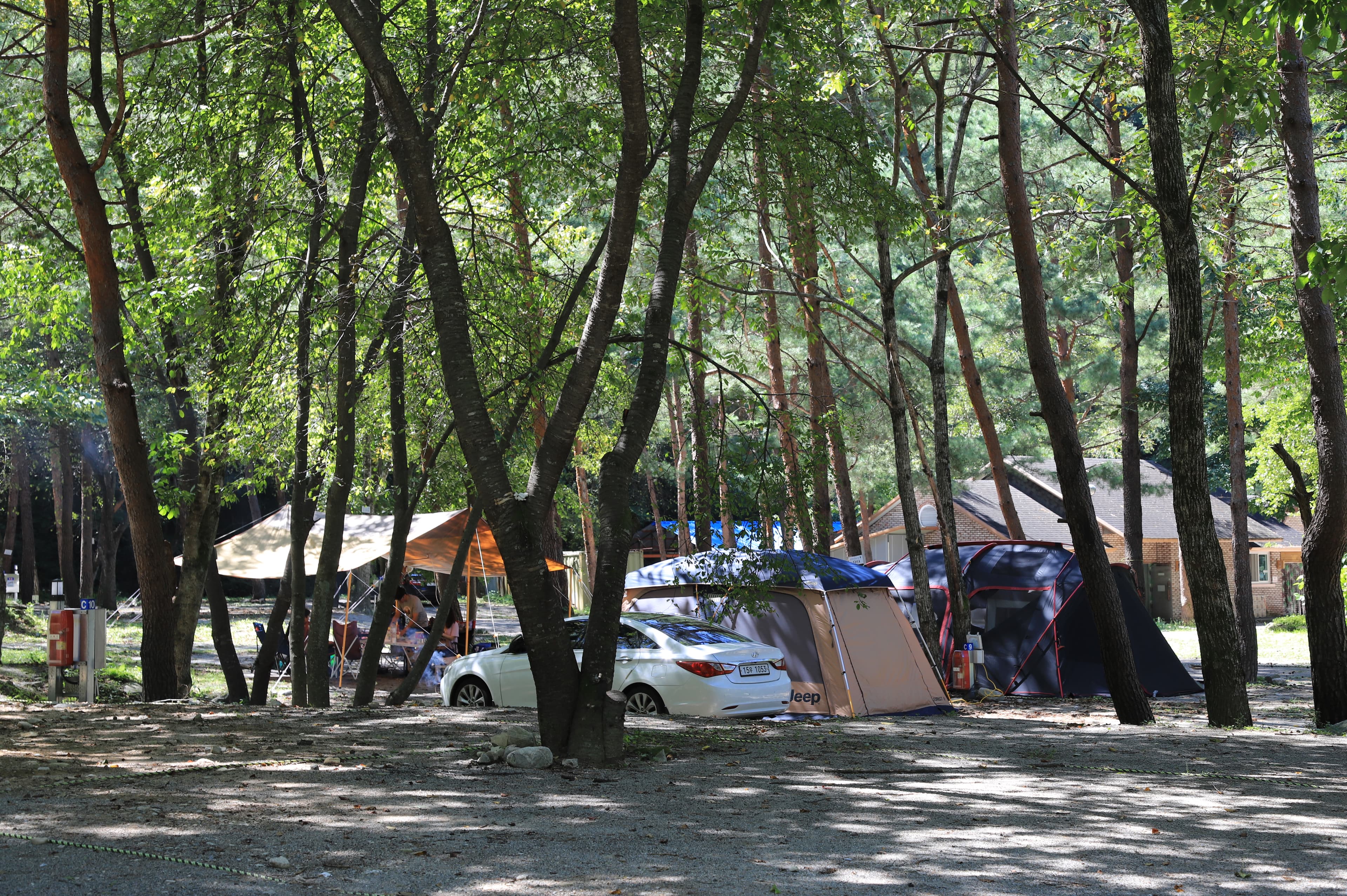 갈천 오토캠핑장 이미지 3