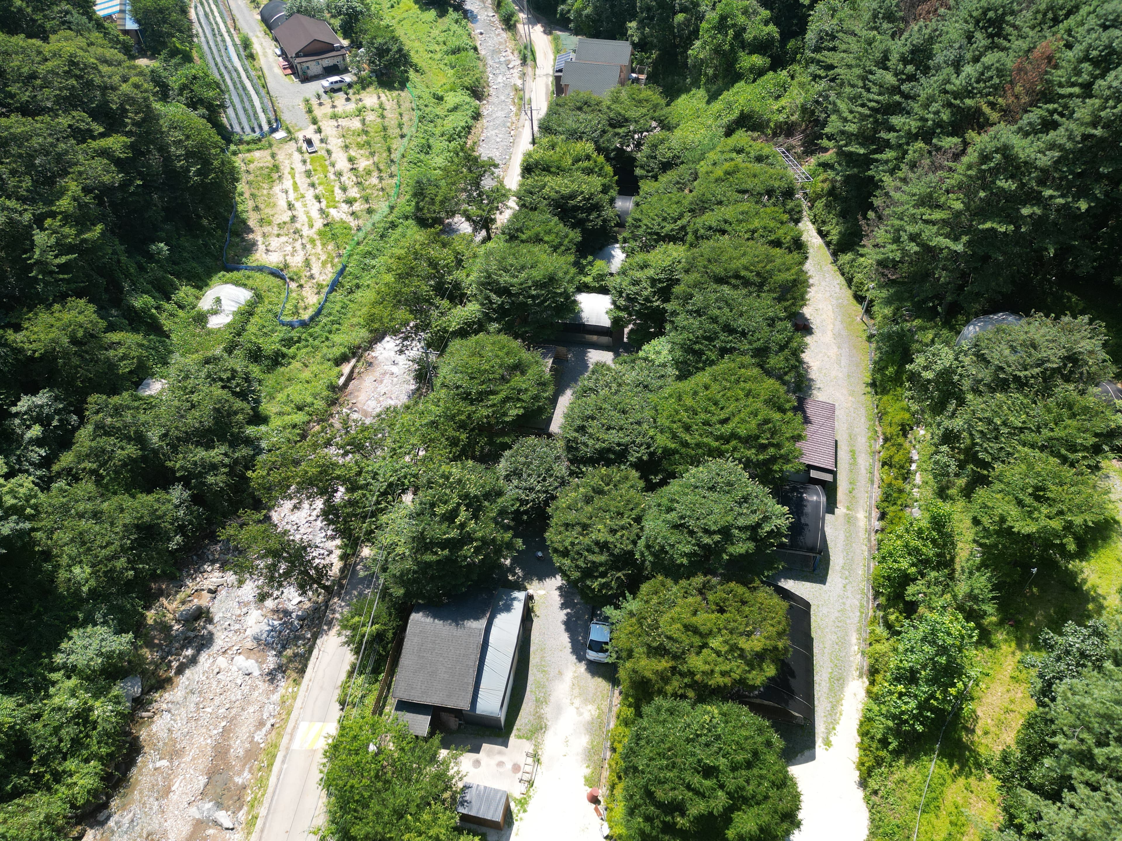 별드림캠핑장 이미지 3