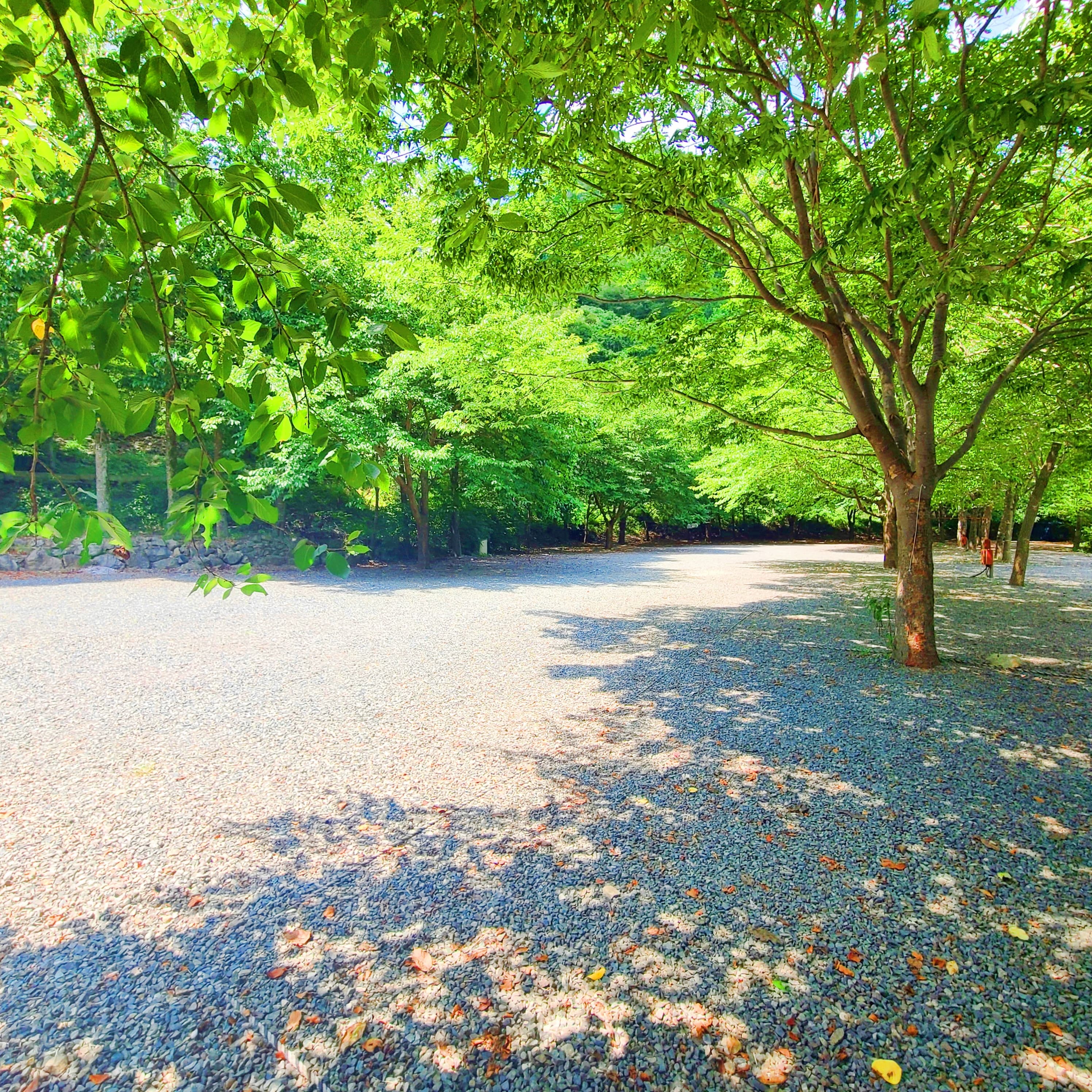 별삼킨별캠핑장 이미지 3