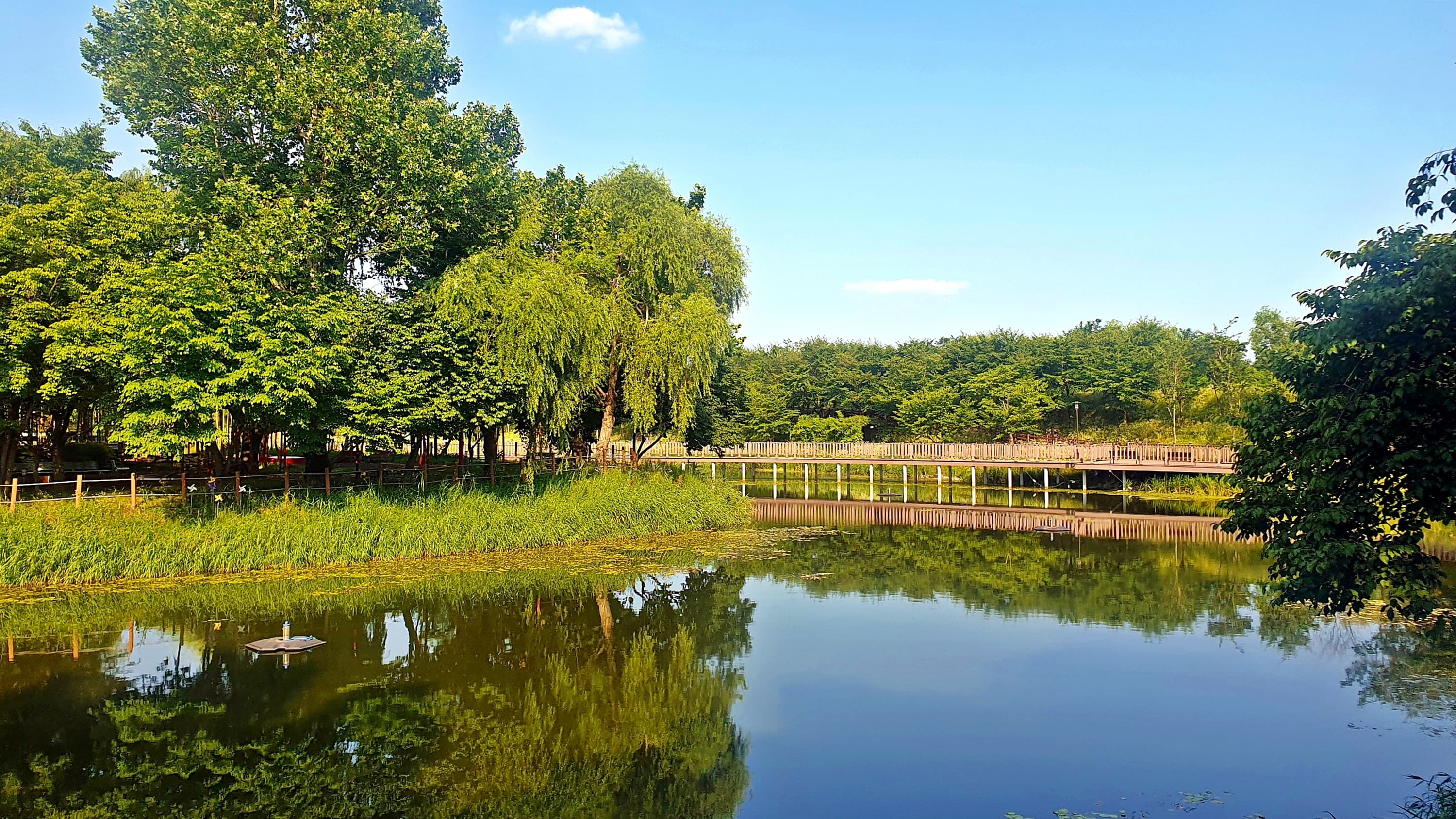 소풍정원 캠핑장 이미지 2