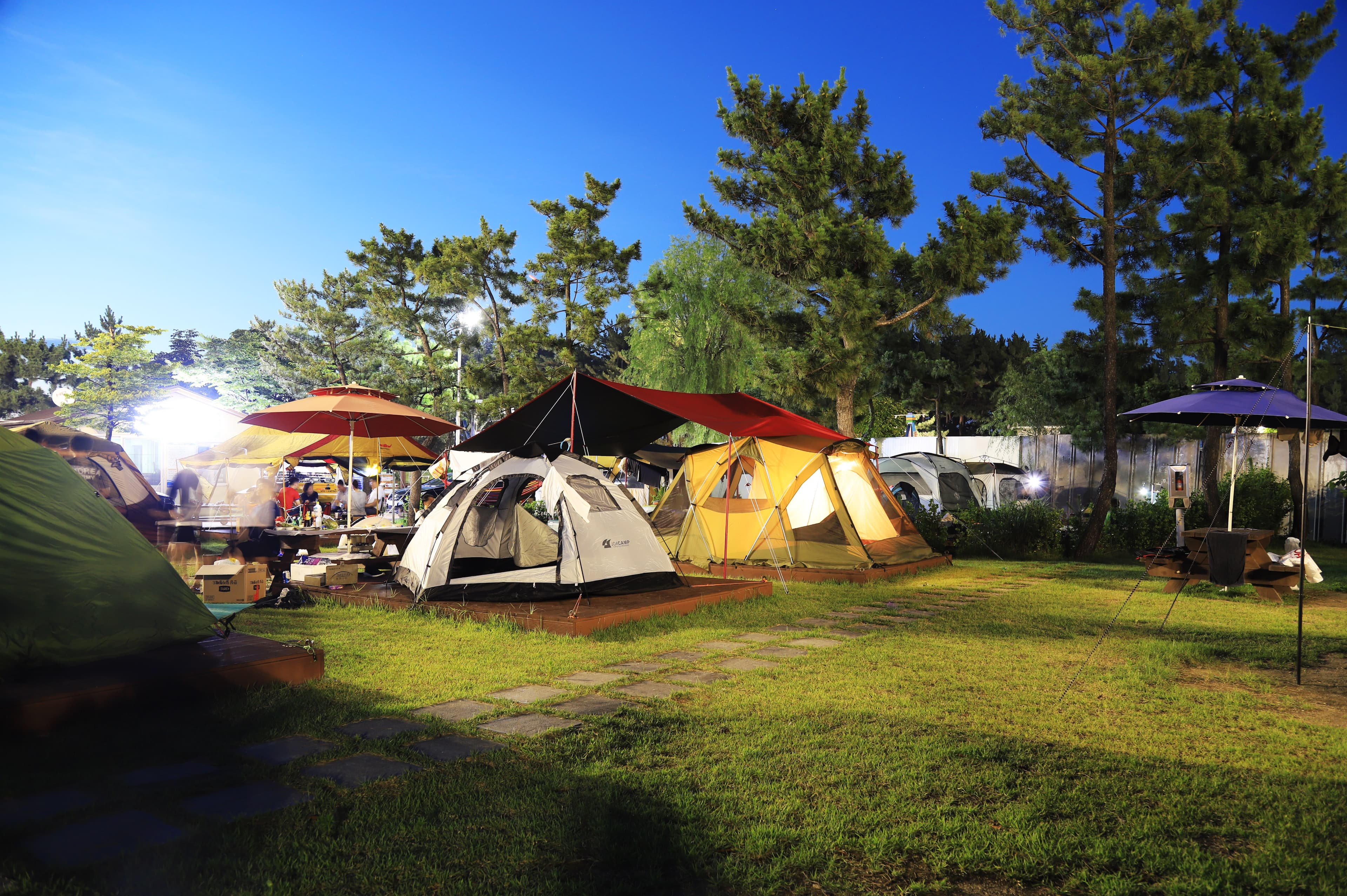 속초해변 국민여가 캠핑장 이미지 3