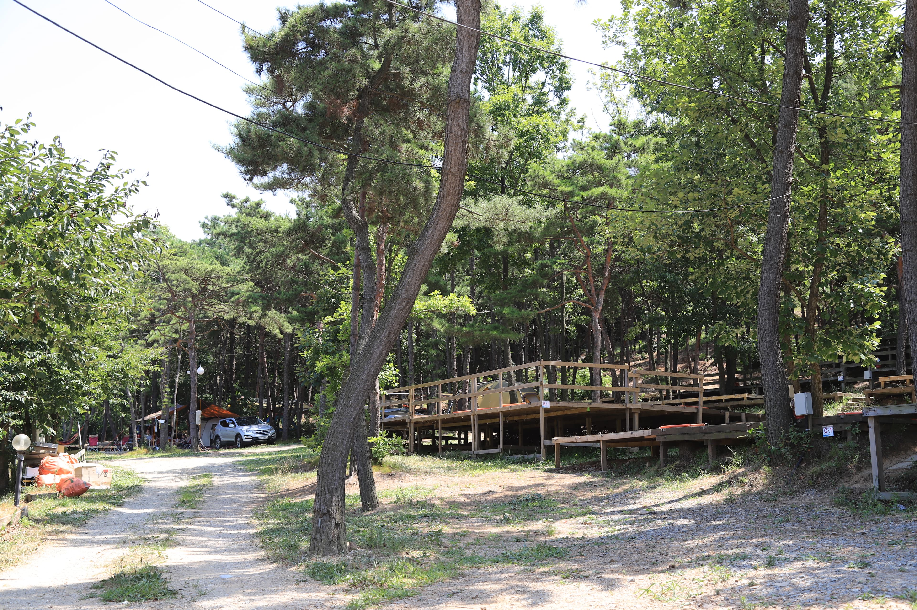 솔밭캠핑장 이미지 2