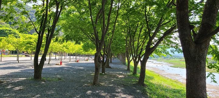 써니밸리오토캠핑장