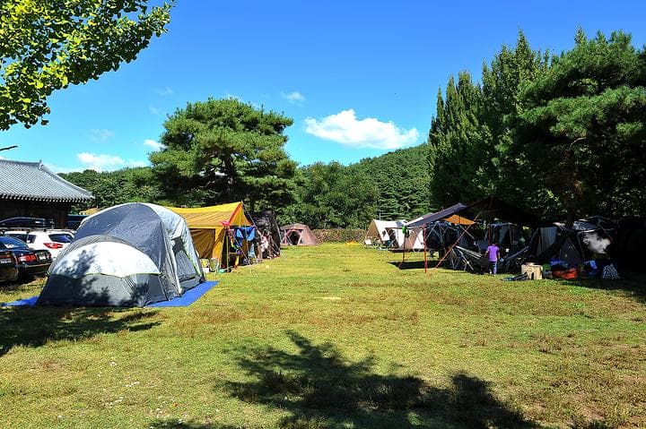 아이에프에이 캠프운악