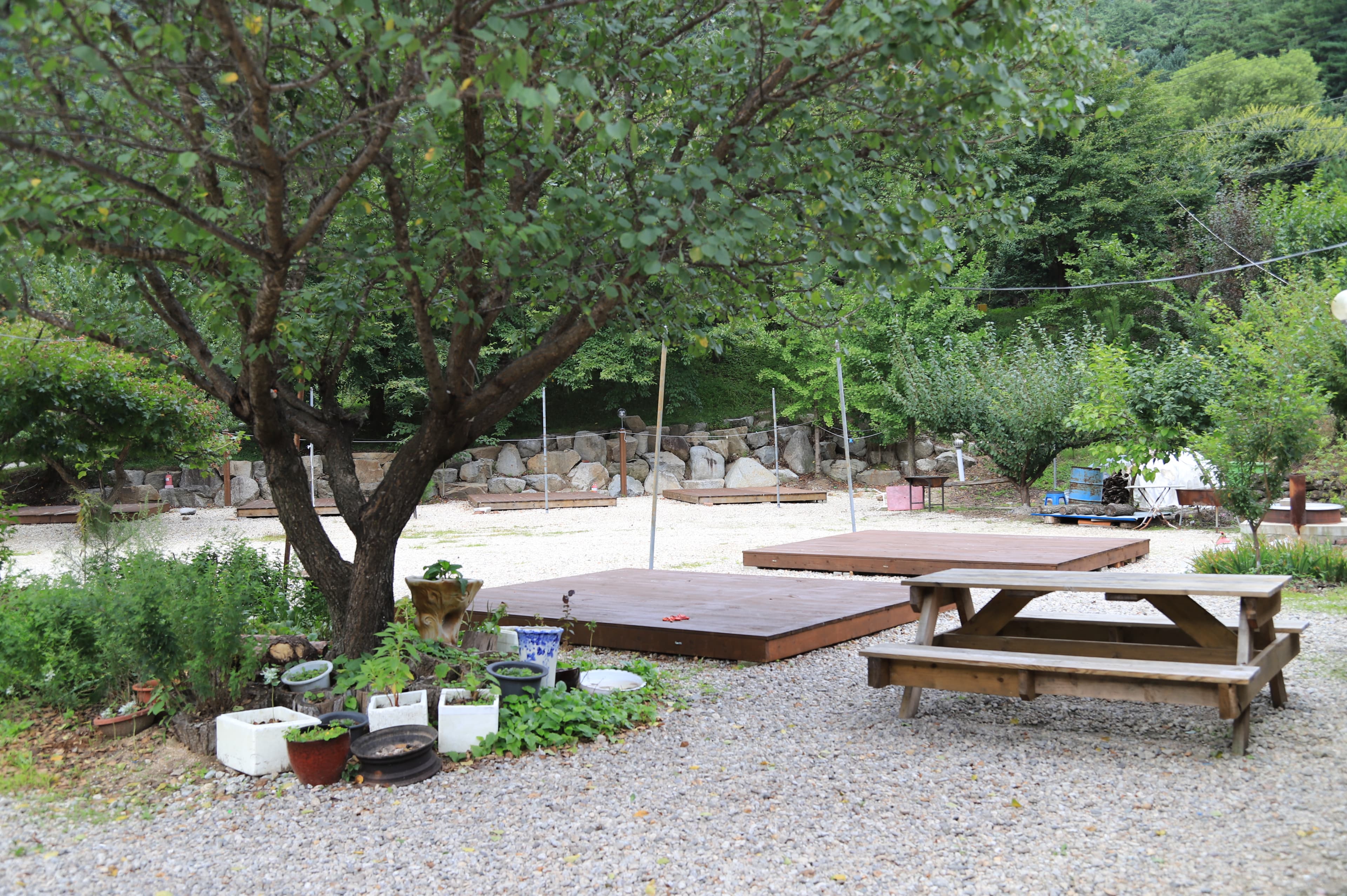 아침가리 계곡 캠핑장 이미지 3