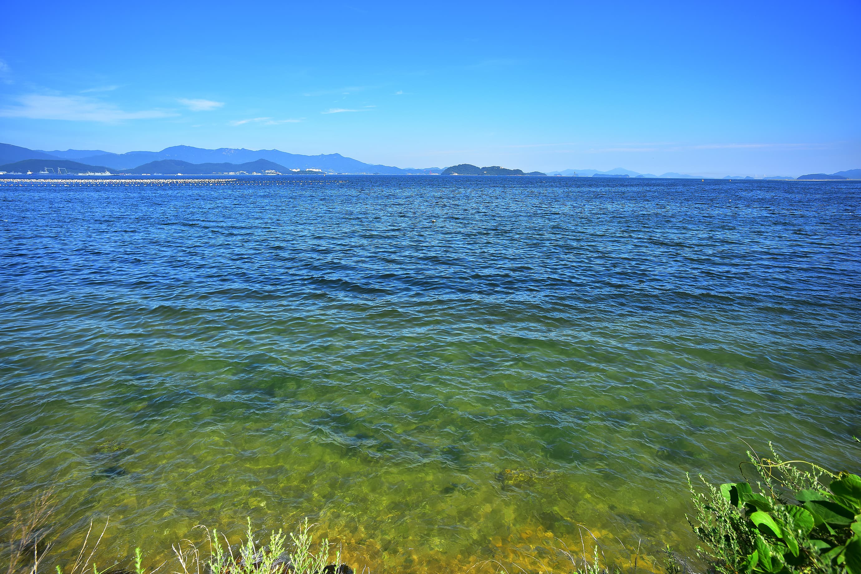 타이거스피드 안녕오토캠핑장 이미지 3