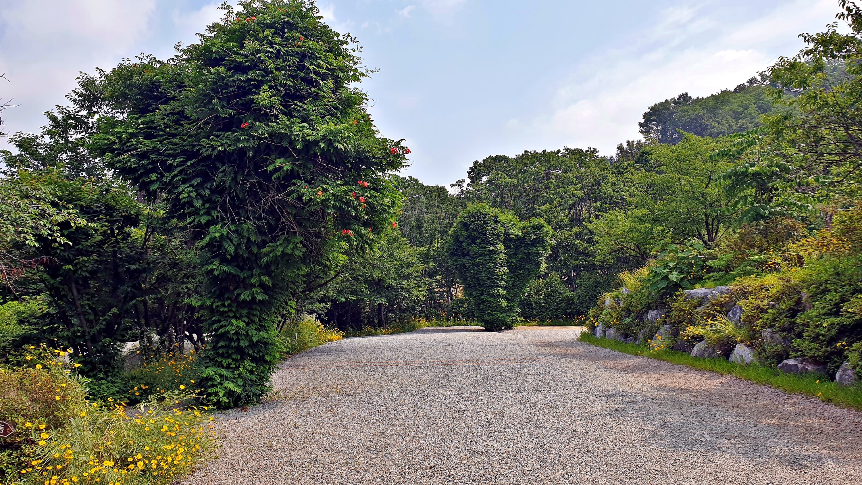 안성비봉산 캠핑장 이미지 2