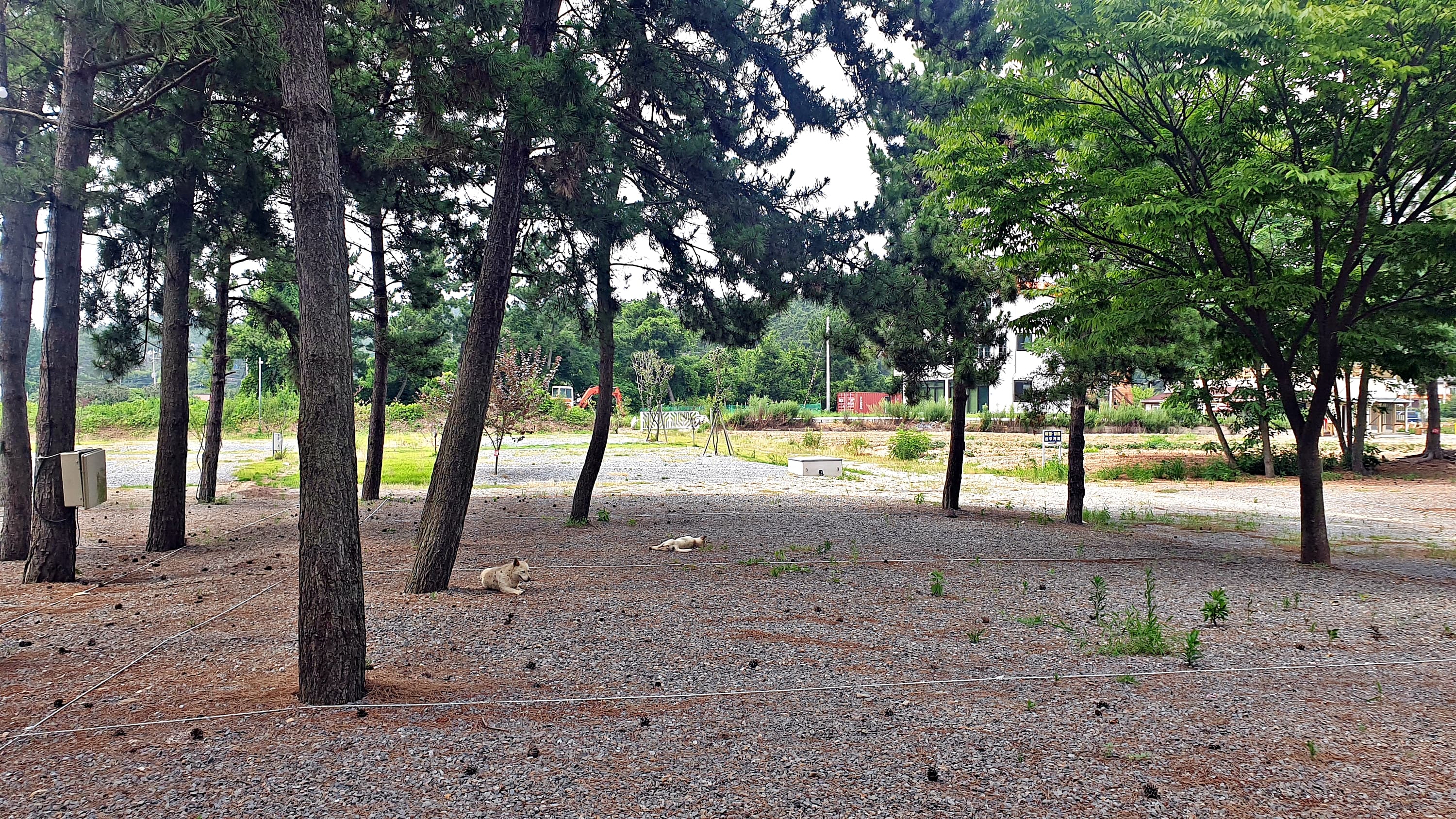 어은돌야영장 이미지 2