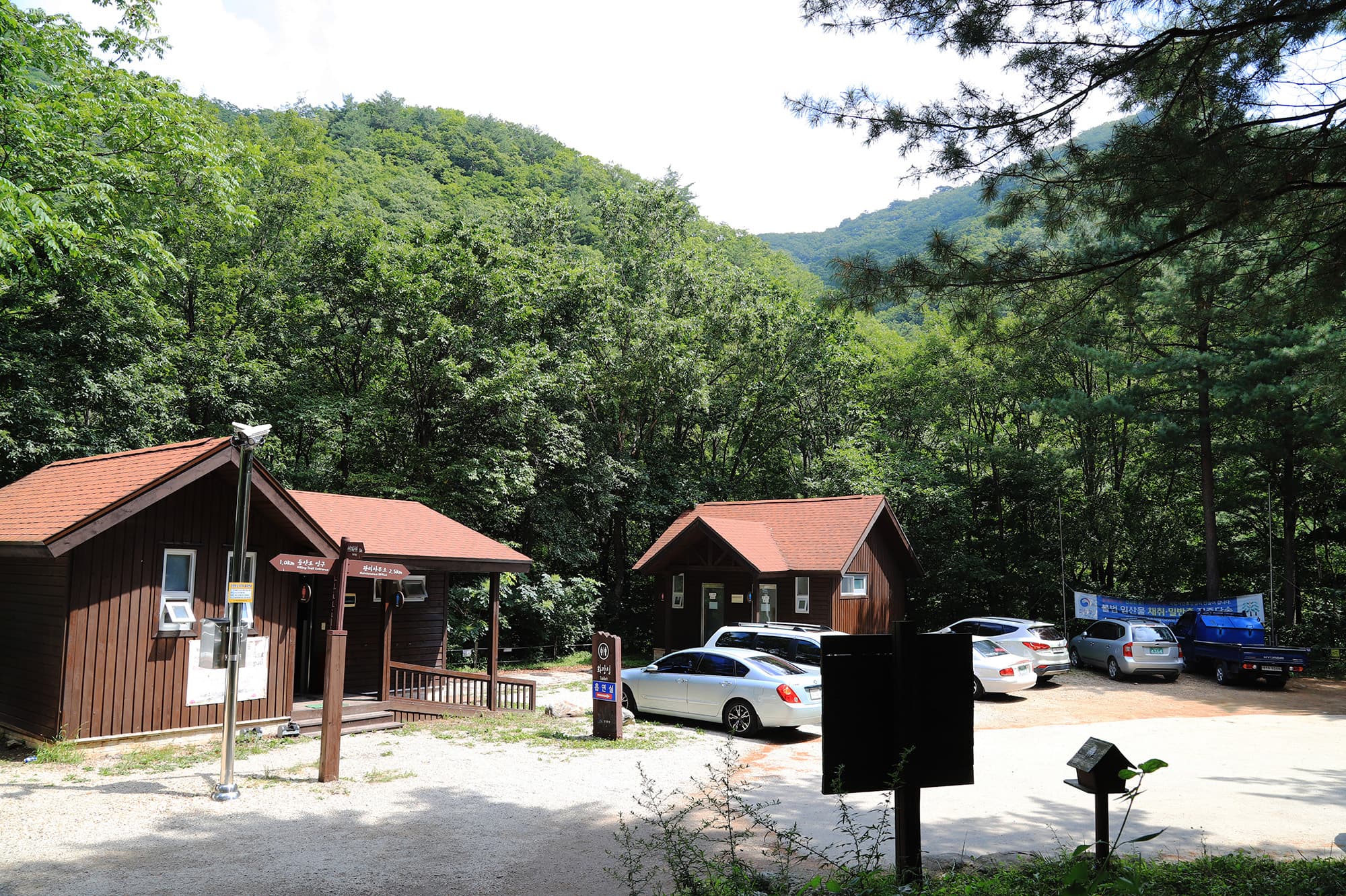 국립용대자연휴양림 이미지 3