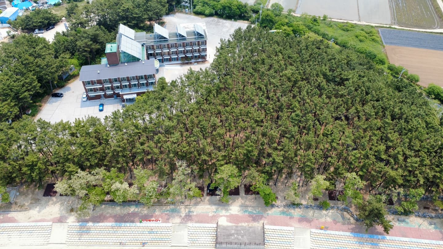 용두해수욕장 숲속야영장 이미지 2