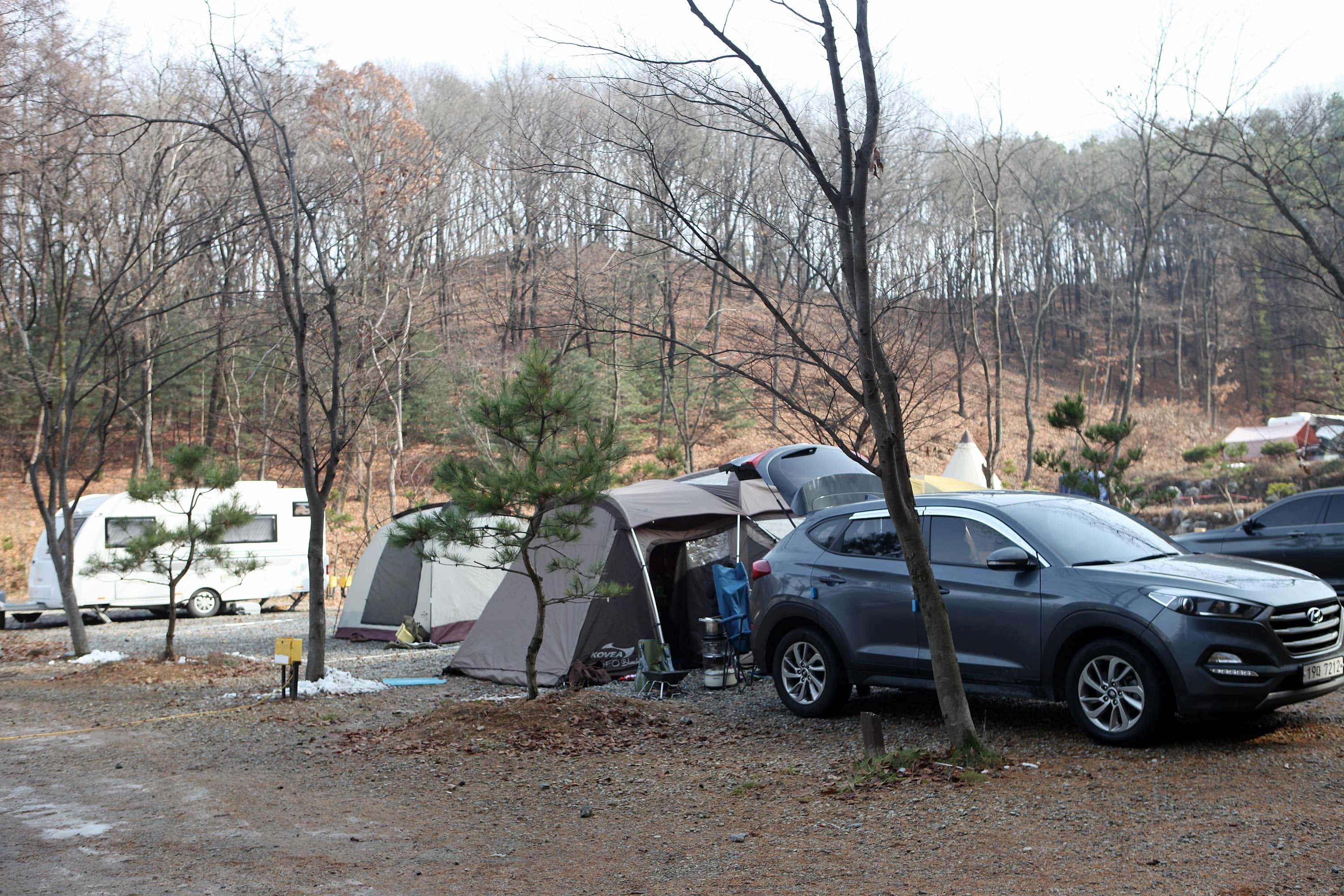 용인랜드 숲속캠핑장 이미지 3