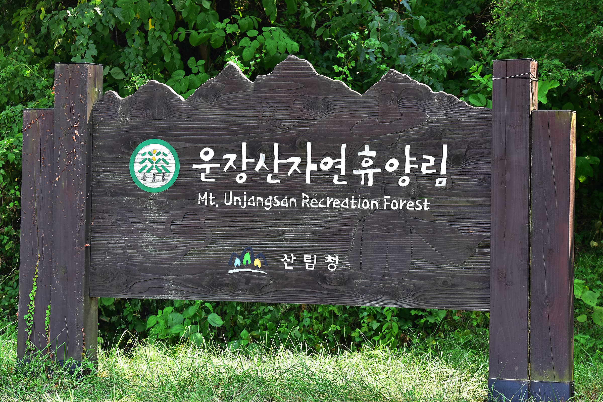 국립운장산자연휴양림 야영장 이미지 3