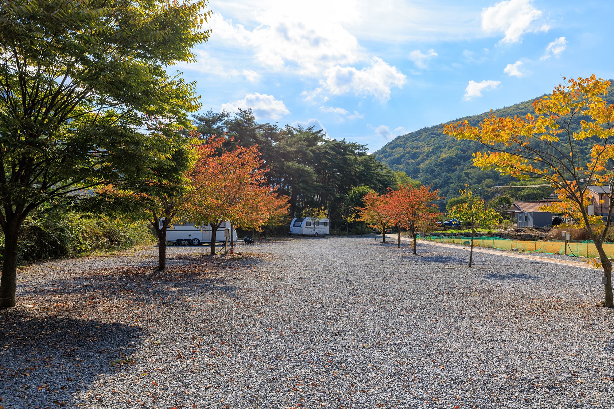 월악산억수솔밭캠핑장 이미지 2