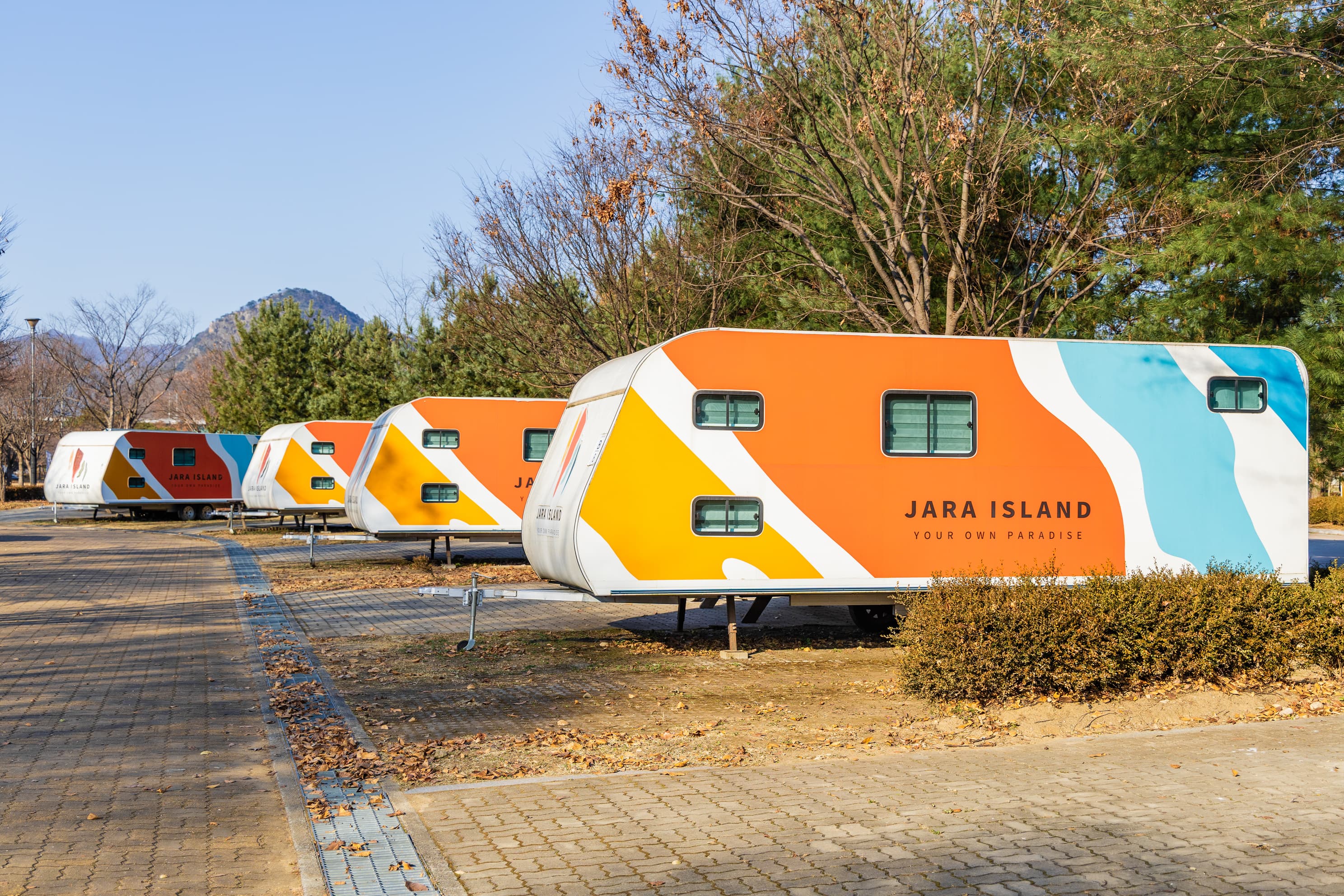 자라섬 캠핑장 이미지 2