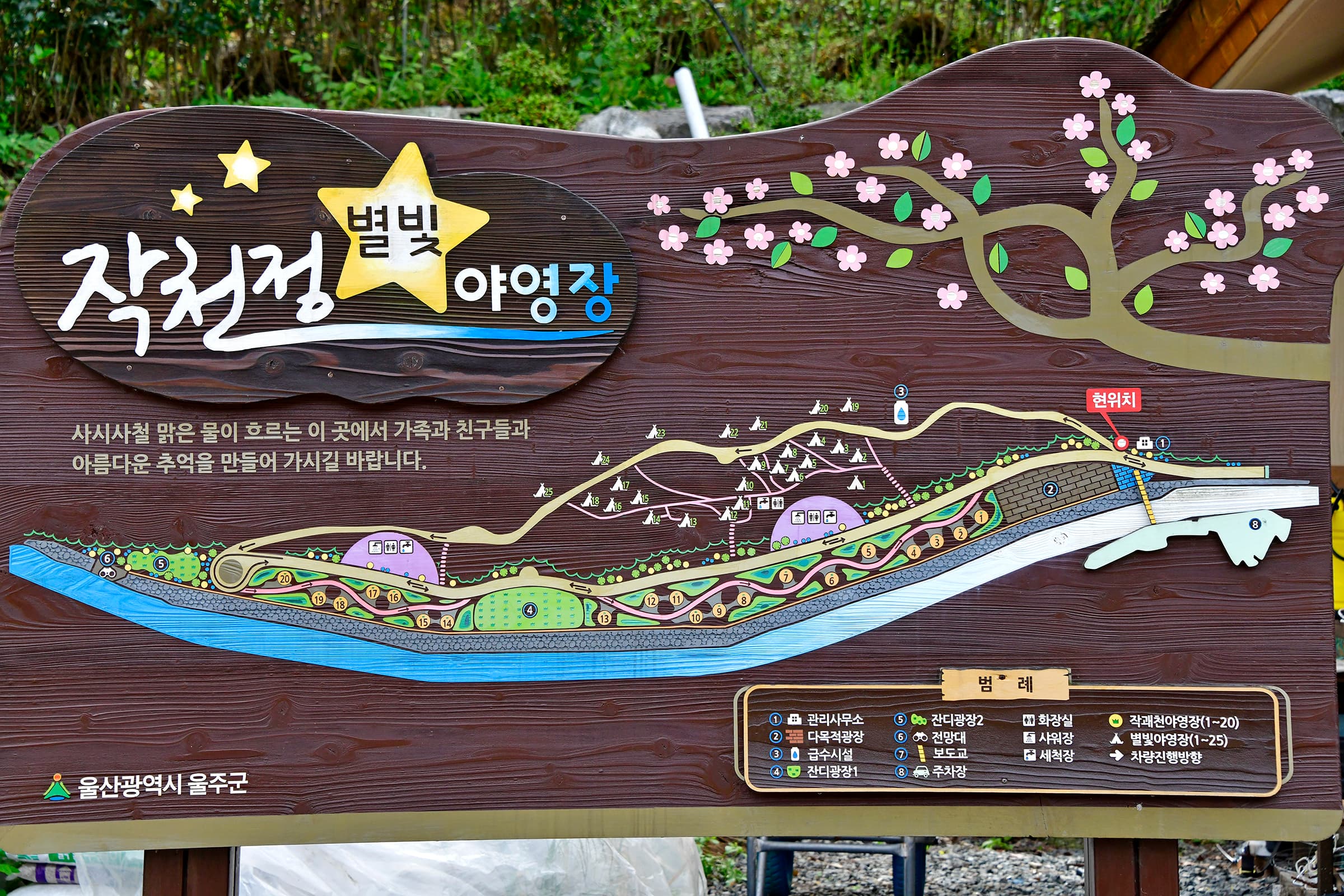 작천정달빛야영장