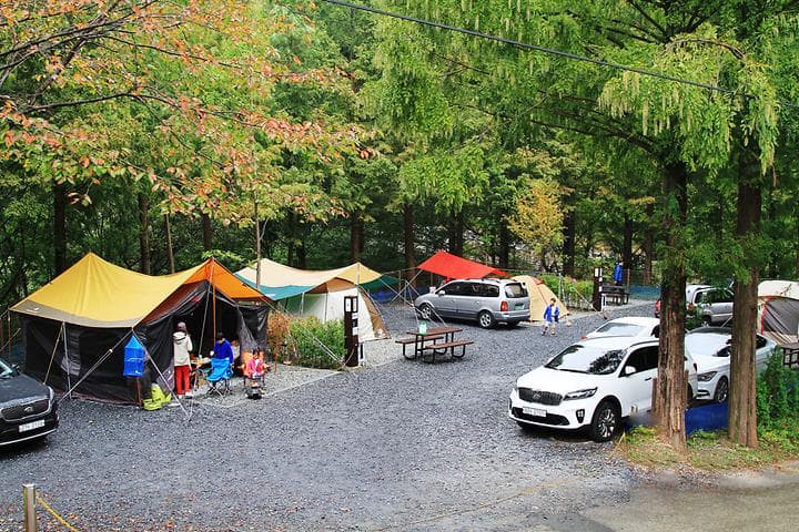 장태산 자연휴양림