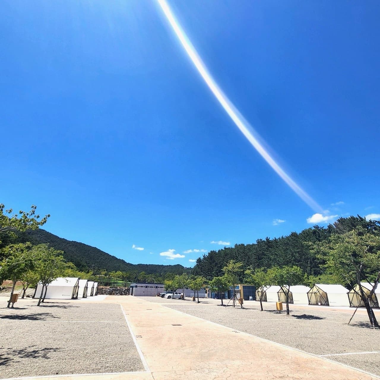 주식회사 웰니스 이미지 2