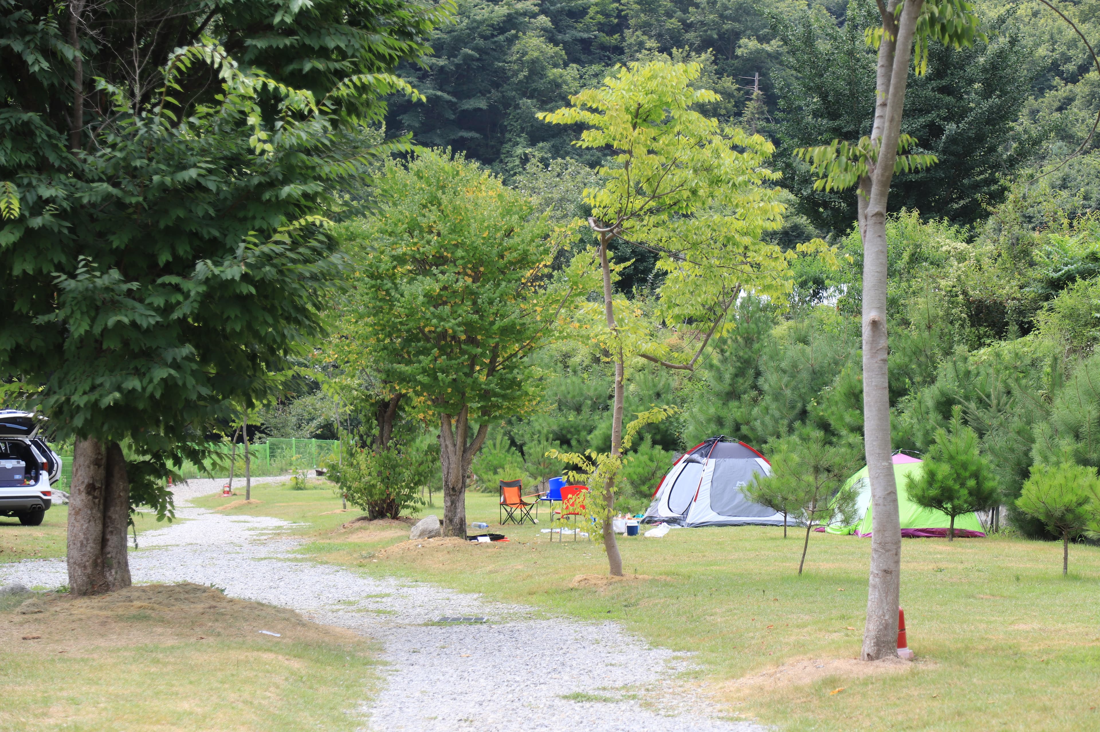 천사봉 오토 캠핑장 이미지 2