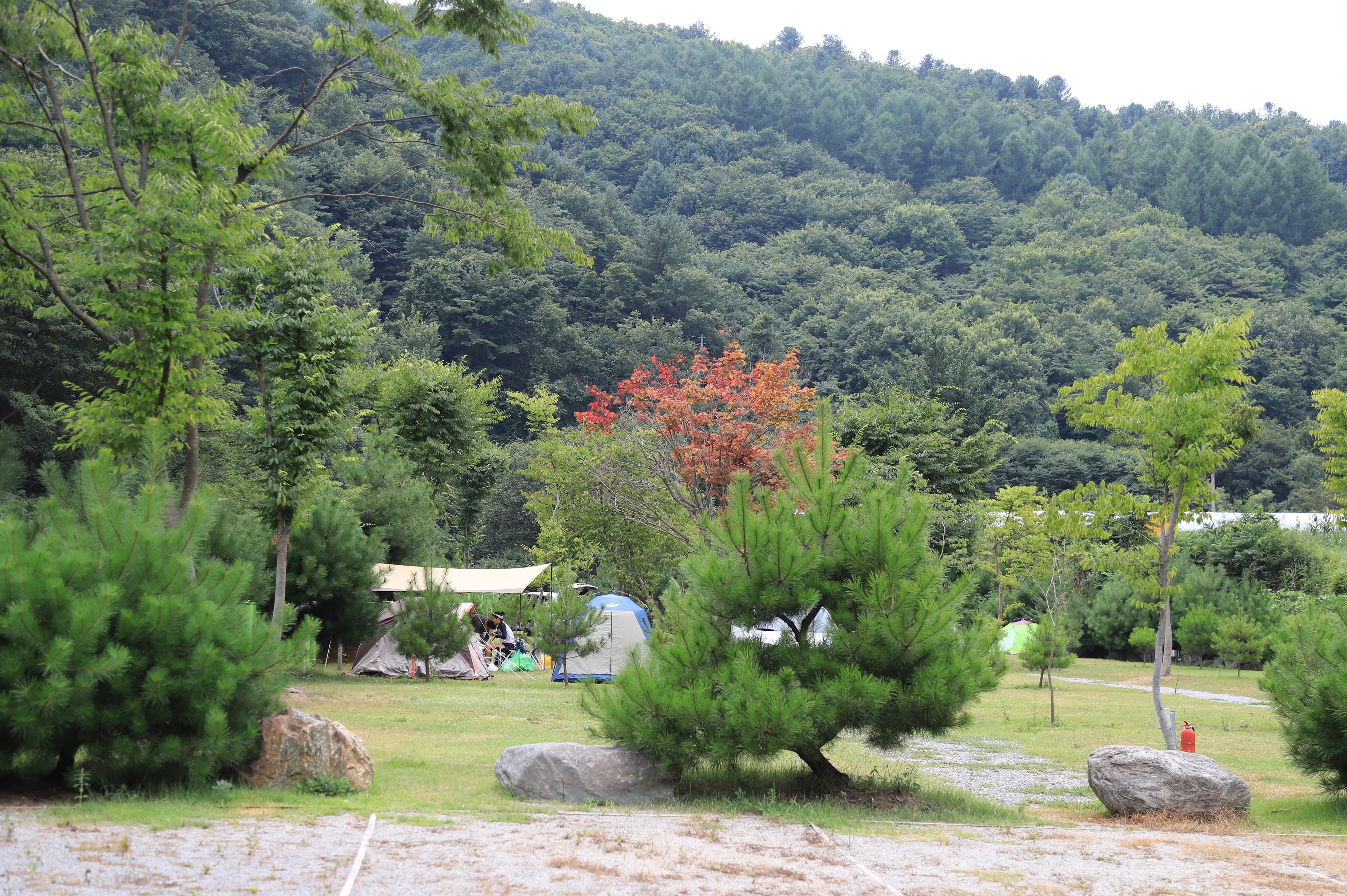 천사봉 오토 캠핑장 이미지 3