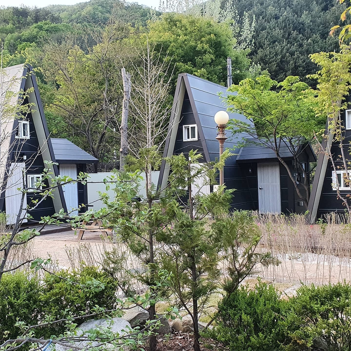 레스트 이미지 3