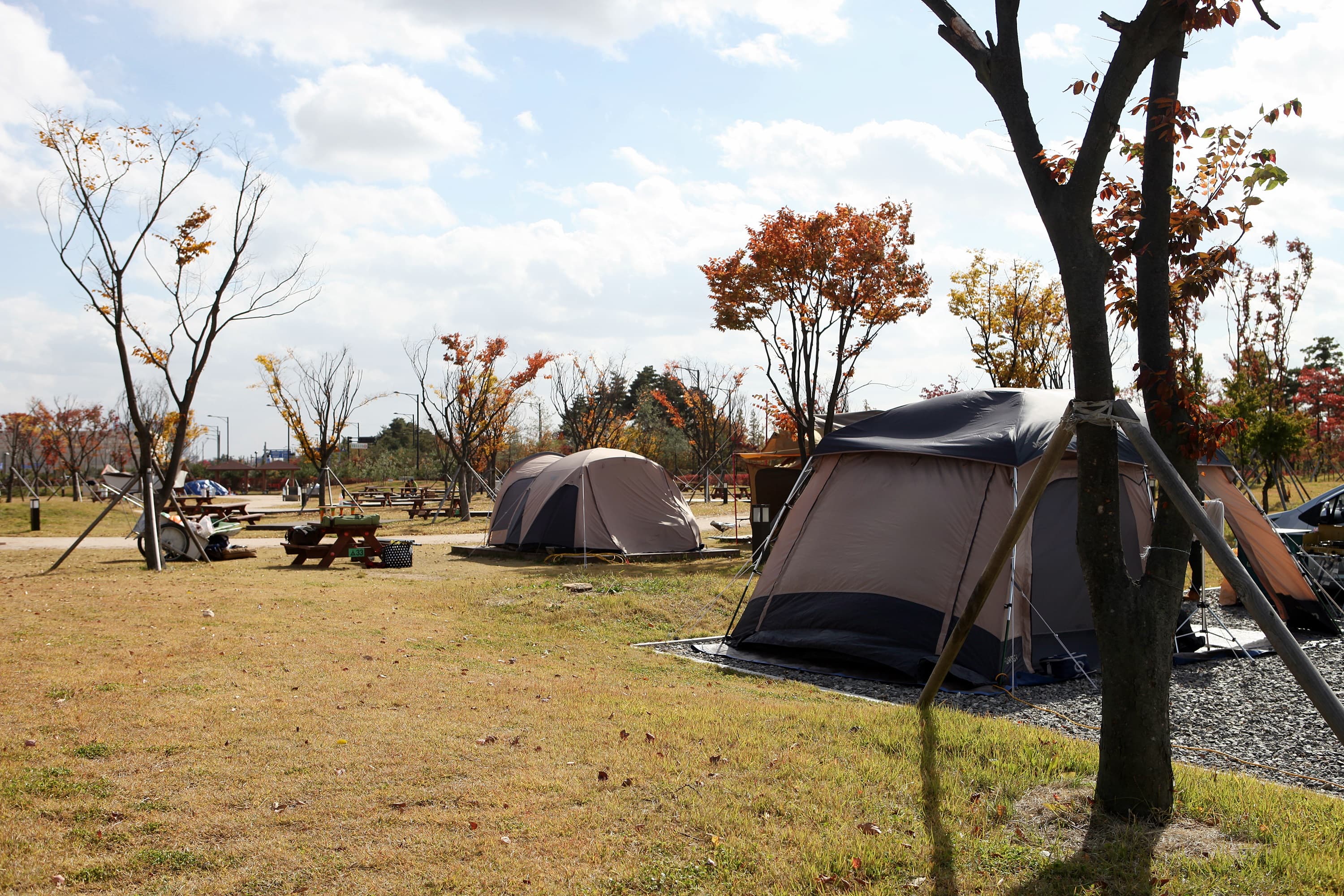 킨텍스캠핑장 이미지 2