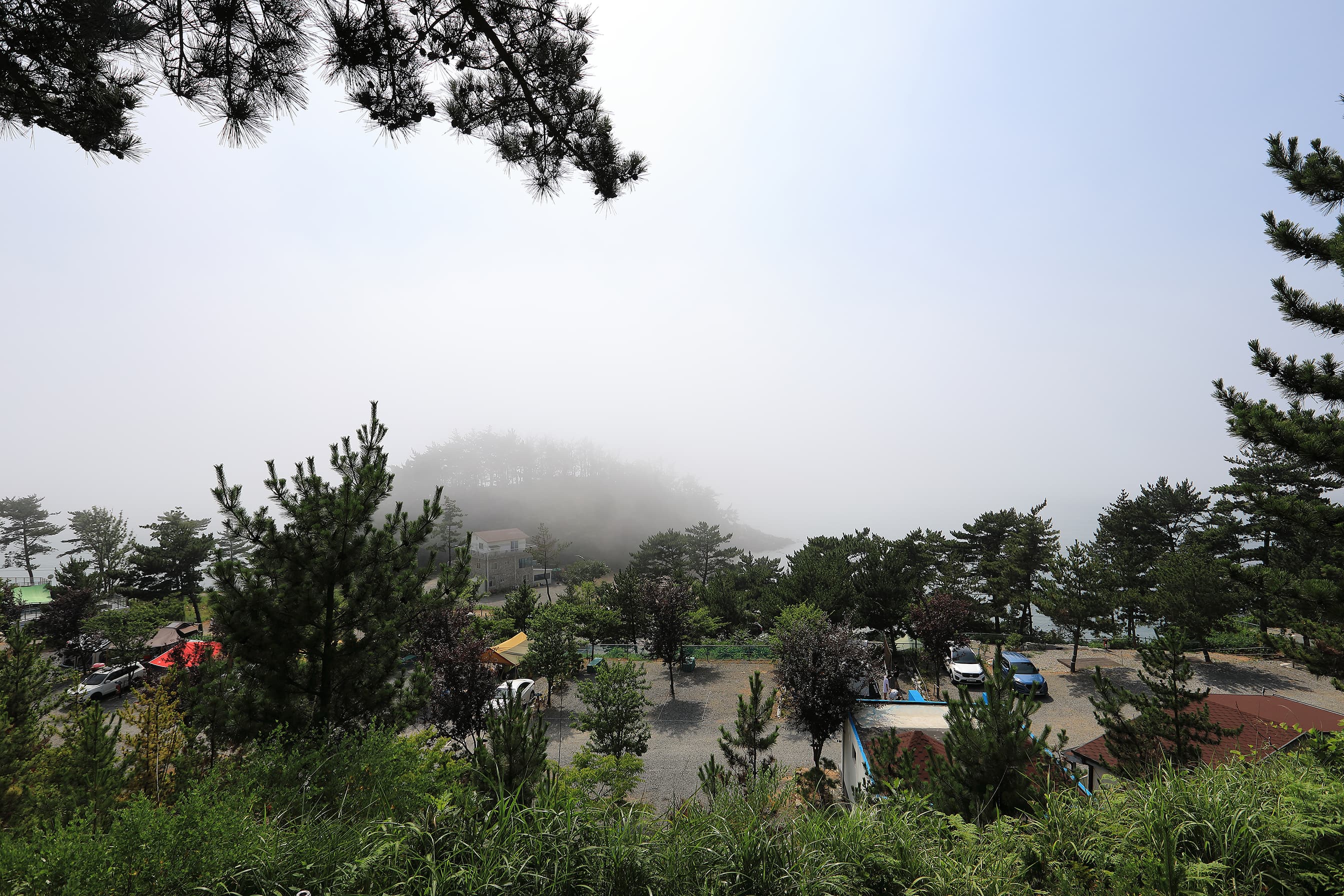 SE클럽(태안둘레길캠핑장&펜션) 이미지 2