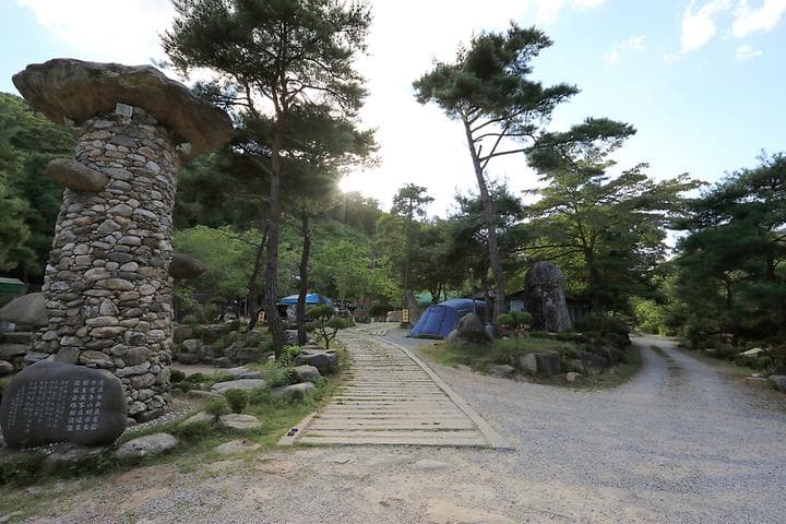 드래곤오토캠핑장