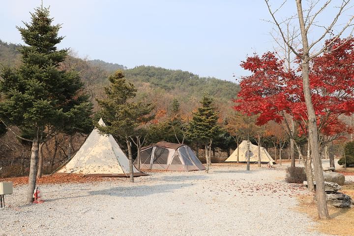 프라임캠핑장