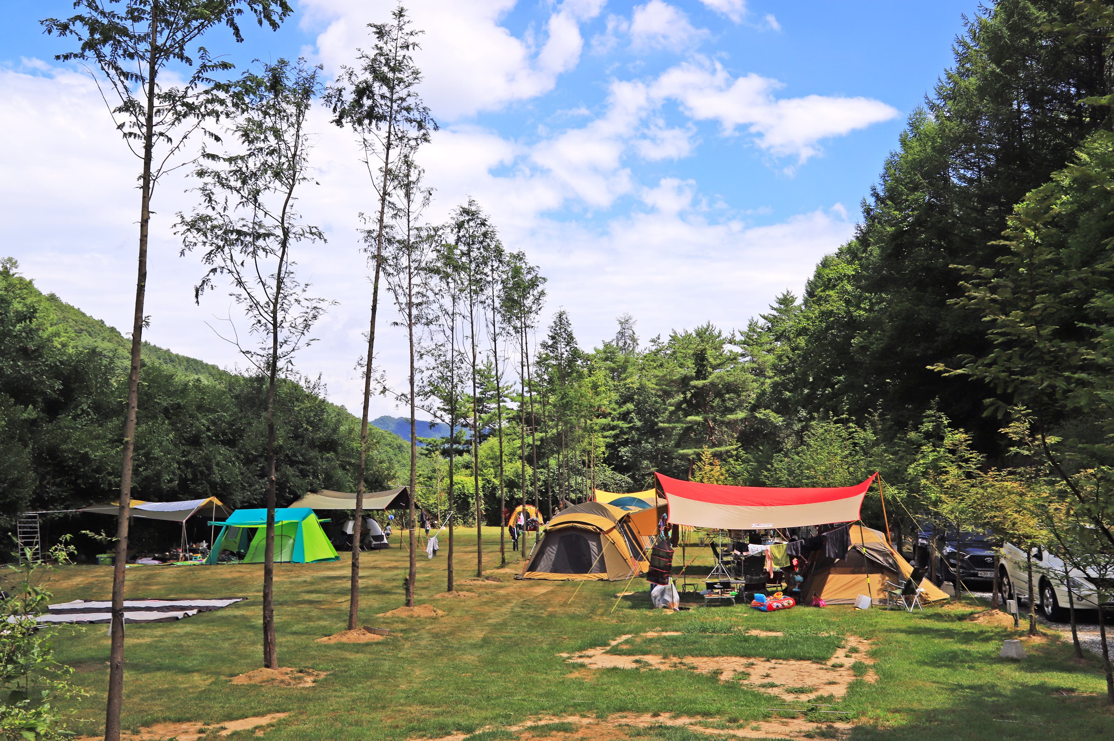 피노키오 자연휴양림 야영장 이미지 2