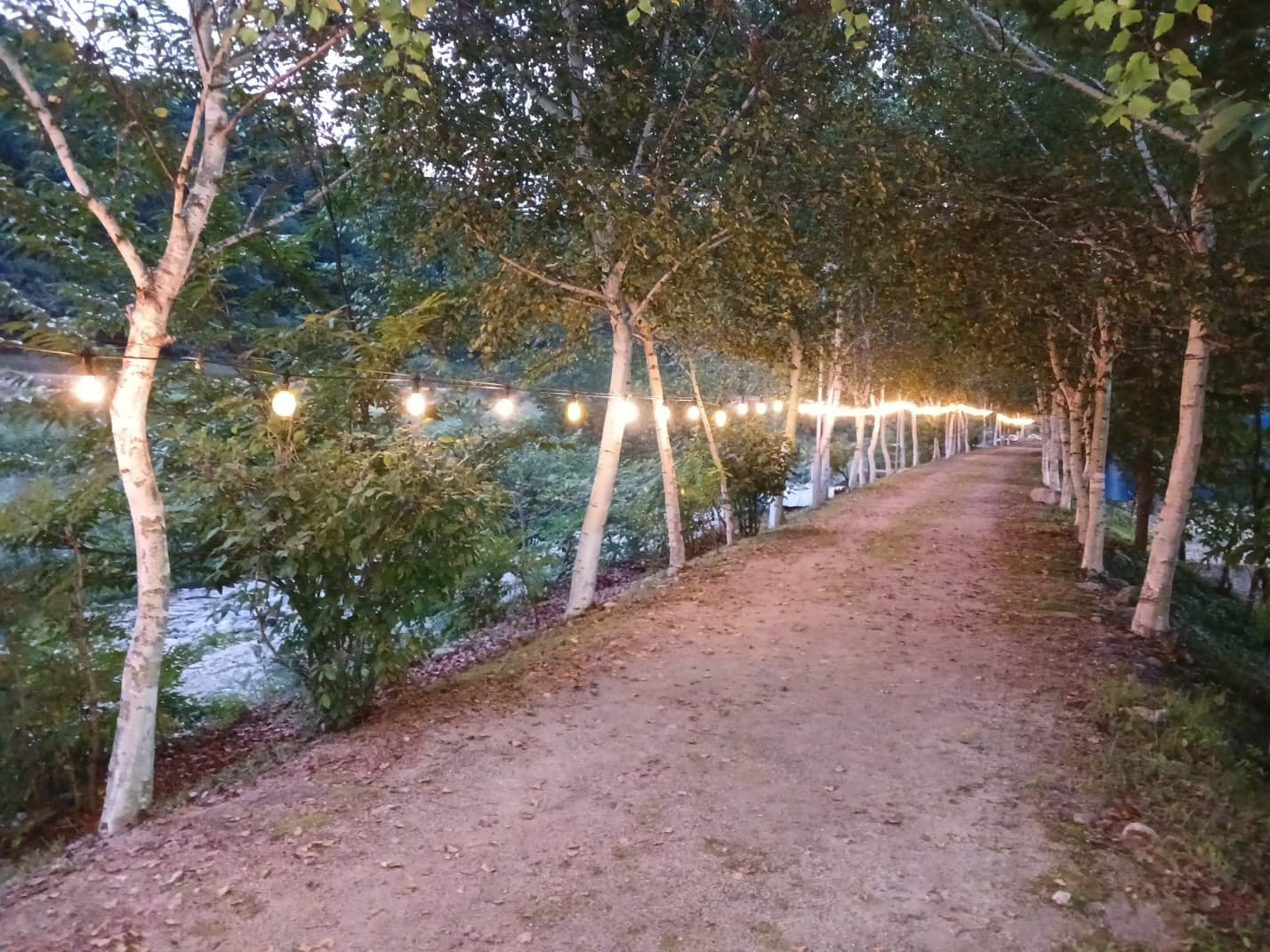 하오재캠핑장 이미지 3