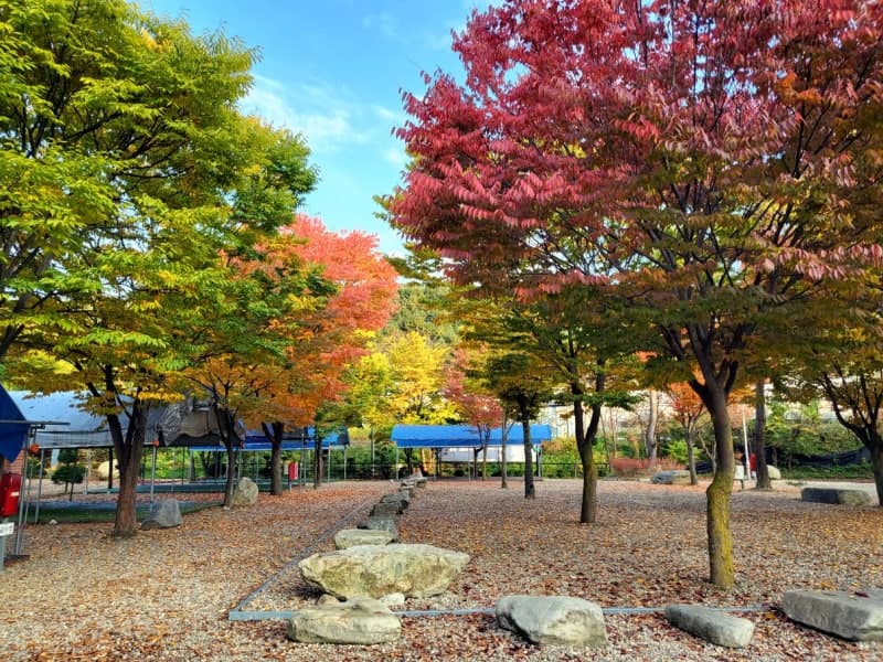 하오재캠핑장 이미지 2