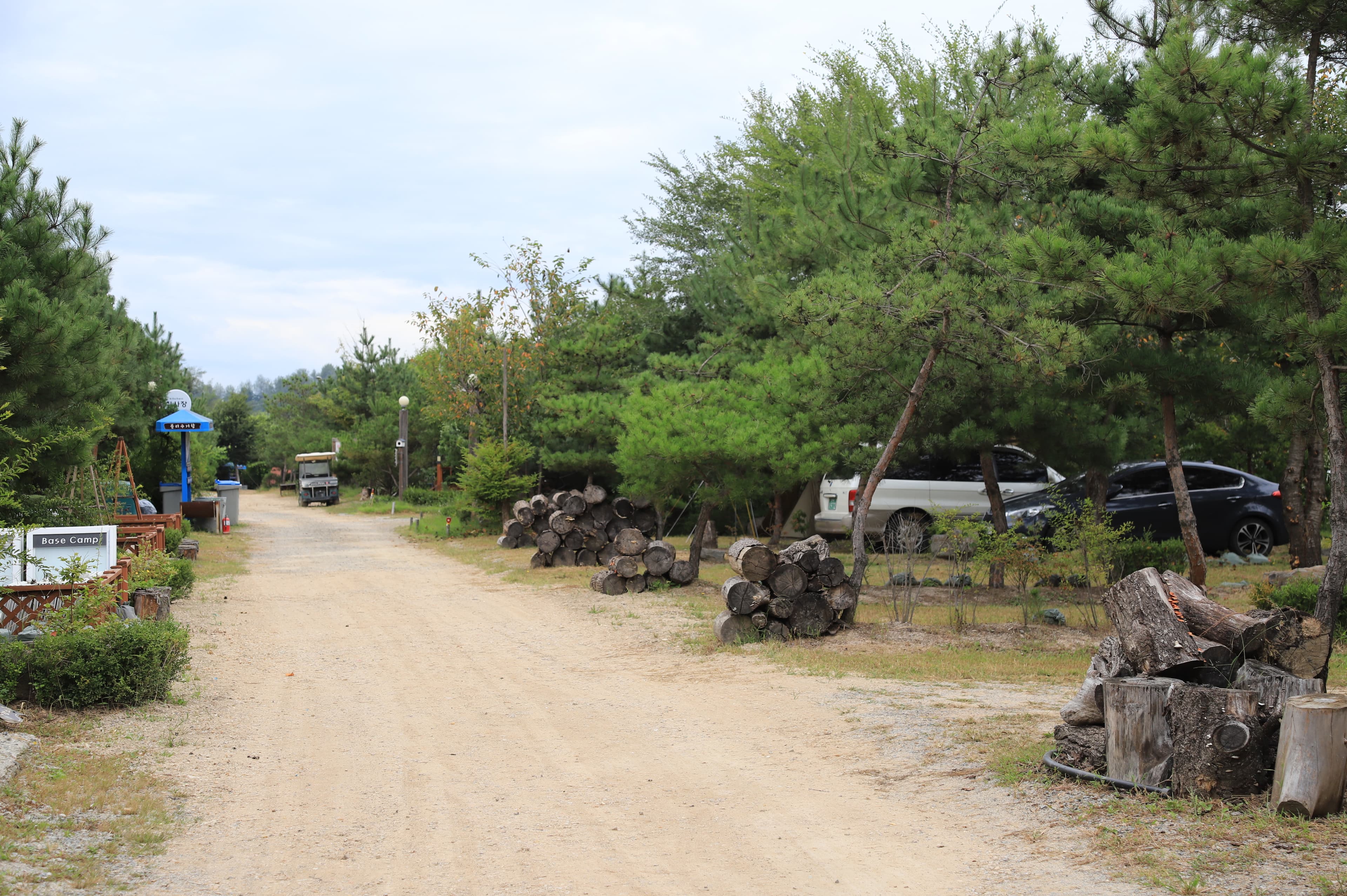 한탄강 소나무 캠핑 이미지 3
