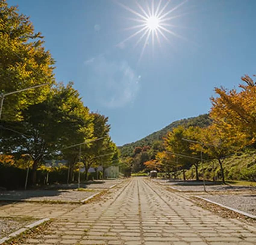 함양용추오토캠핑장 이미지 2