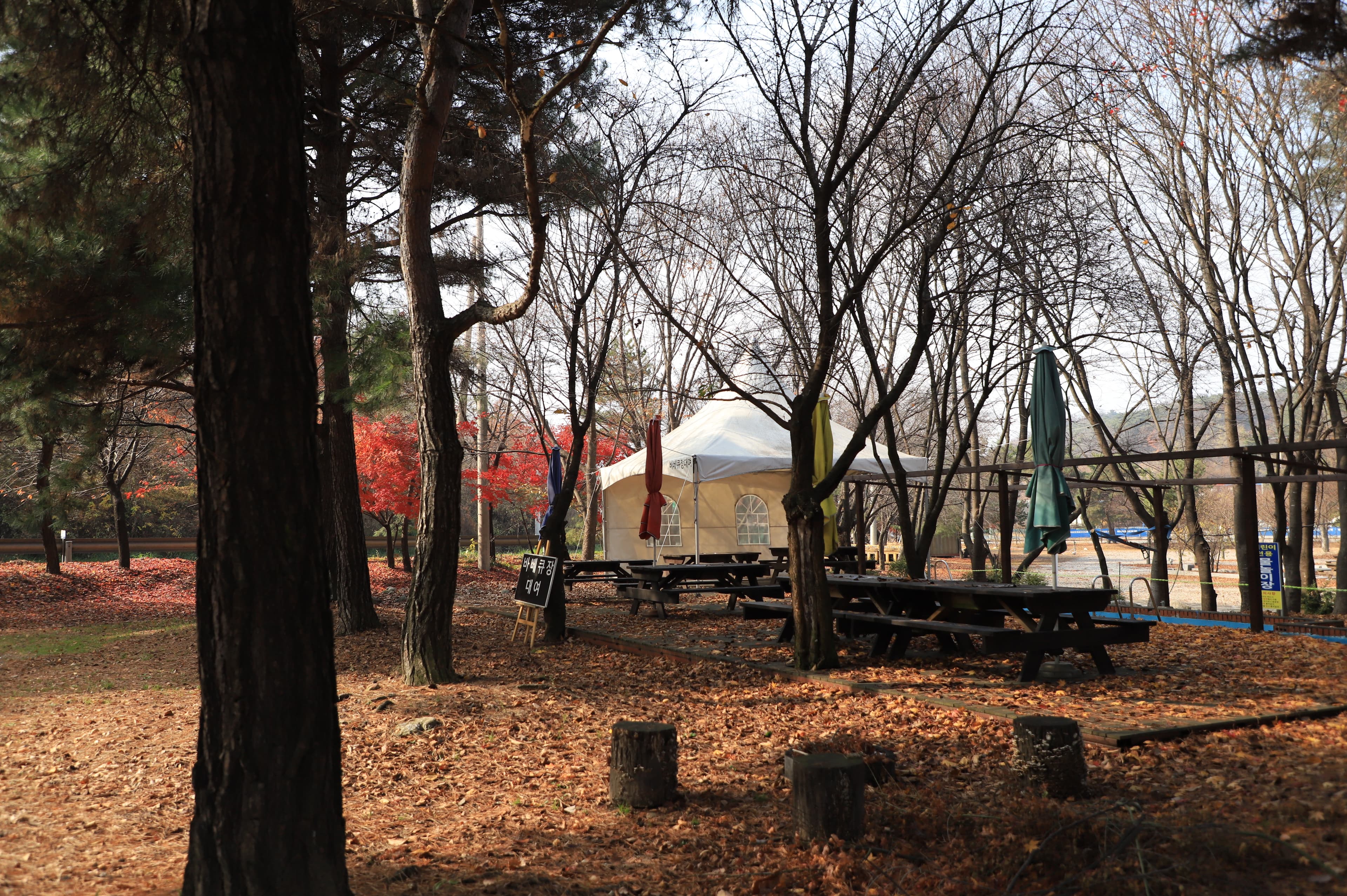 구룡레저타운야영장 이미지 3