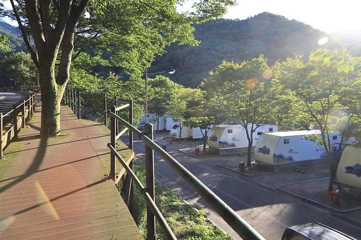 구룡자동차야영장(치악산국립공원)