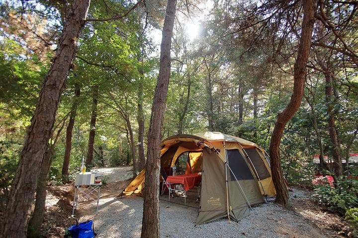 호수산장관광농원