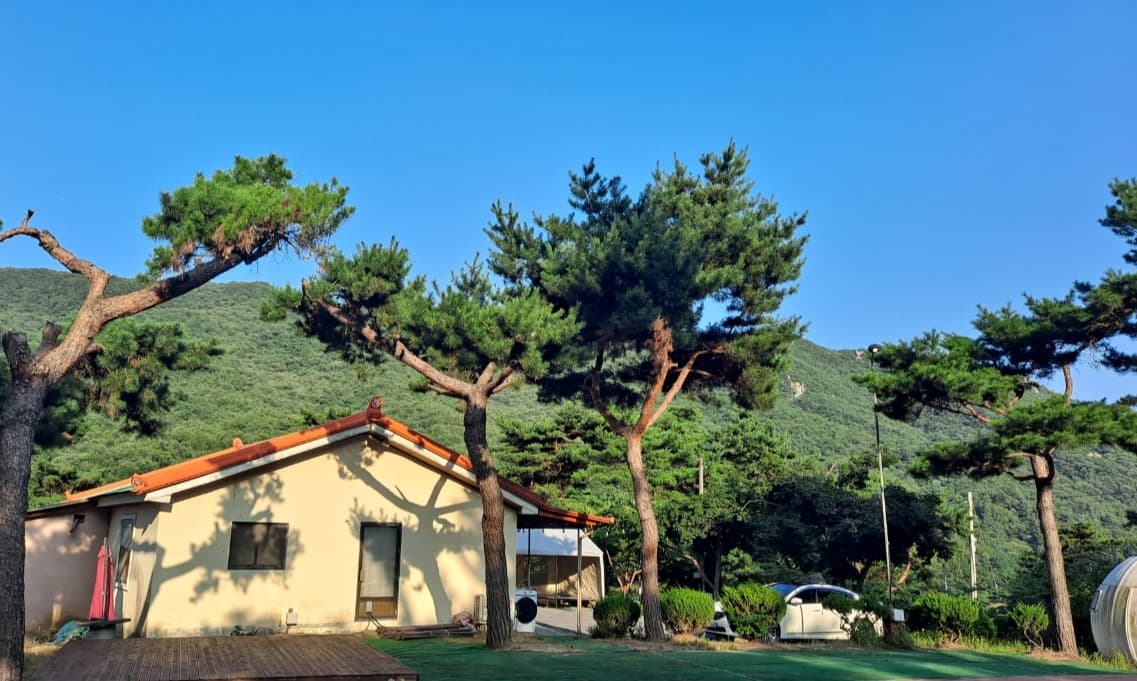 리틀빌리지 이미지 2