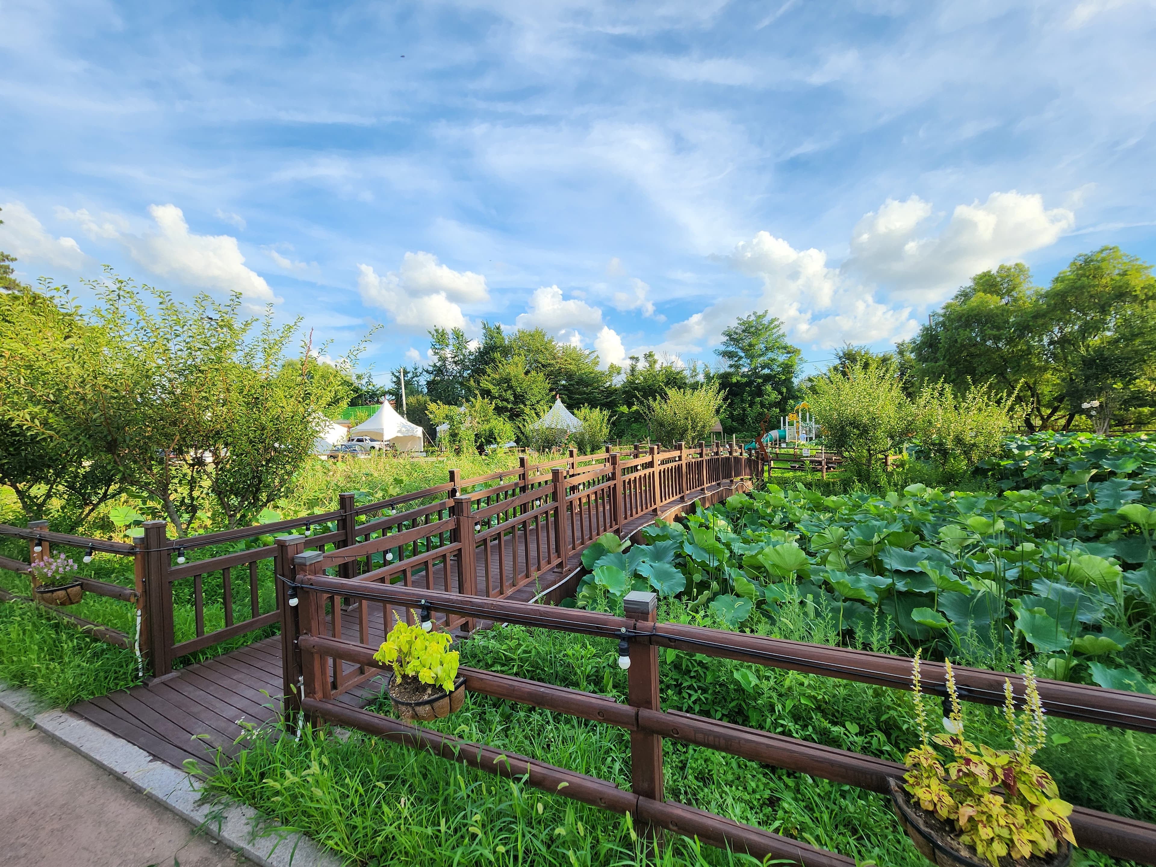 구리 토평 가족캠핑장 이미지 3