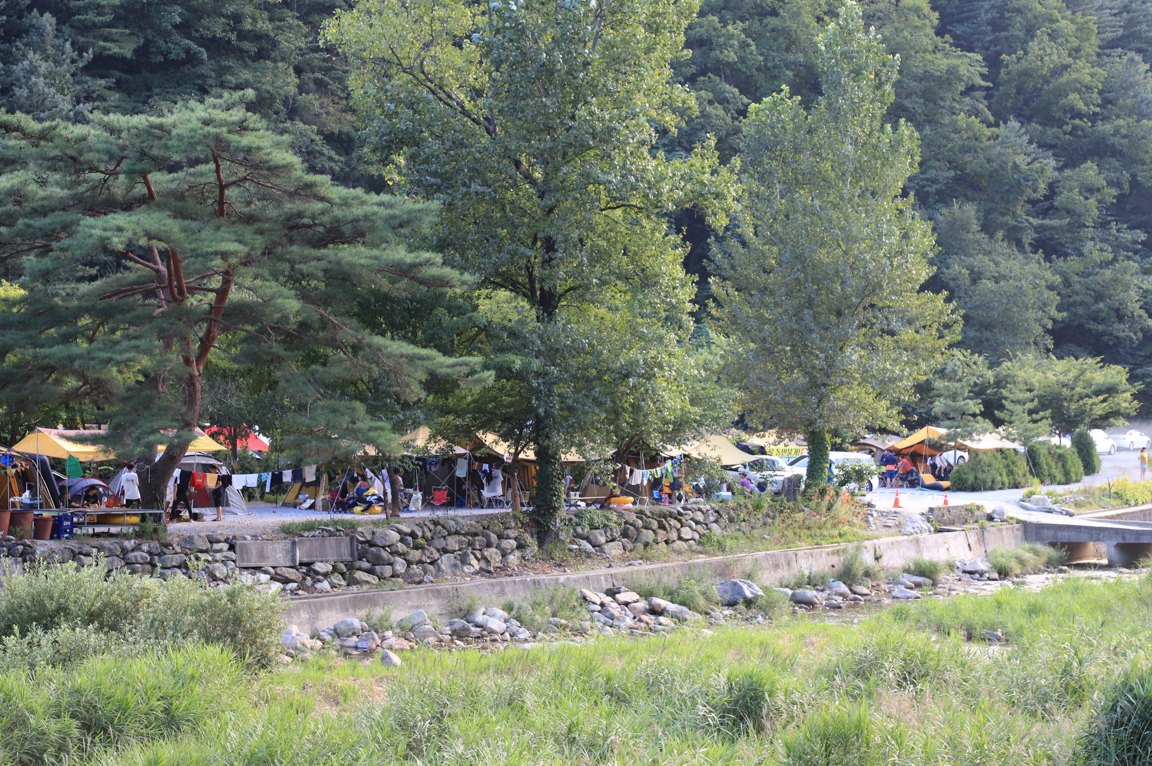 휴가를 부탁해 캠핑장 이미지 3