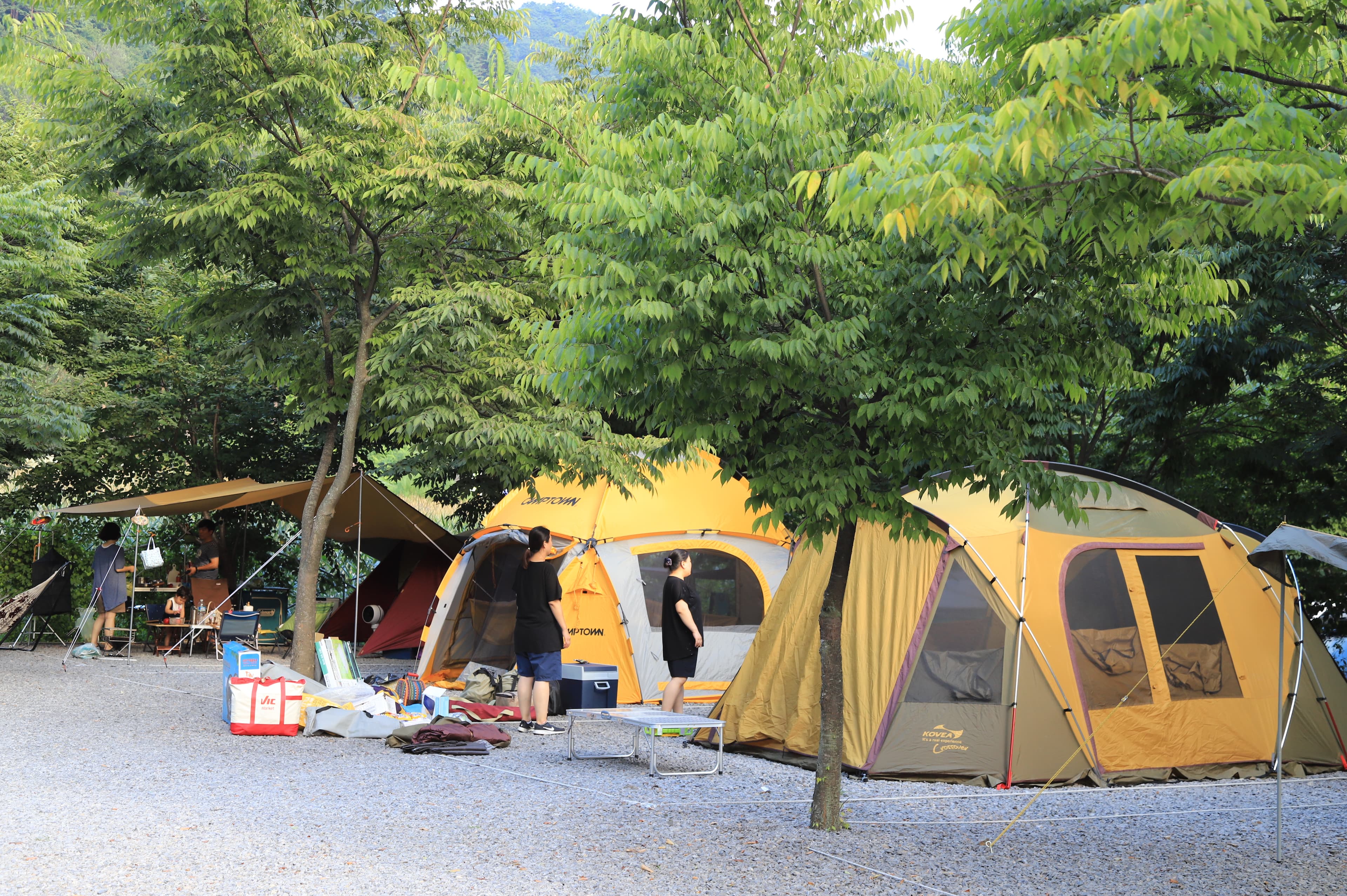 휴가를 부탁해 캠핑장 이미지 2