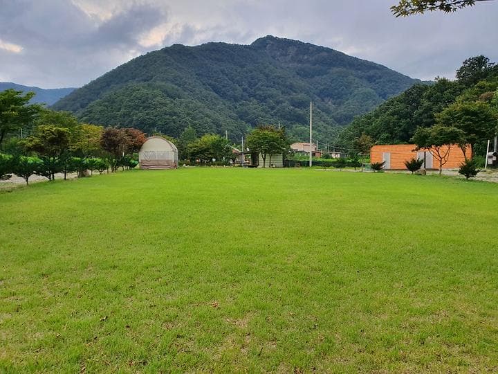 동상 힐링 캠핑장