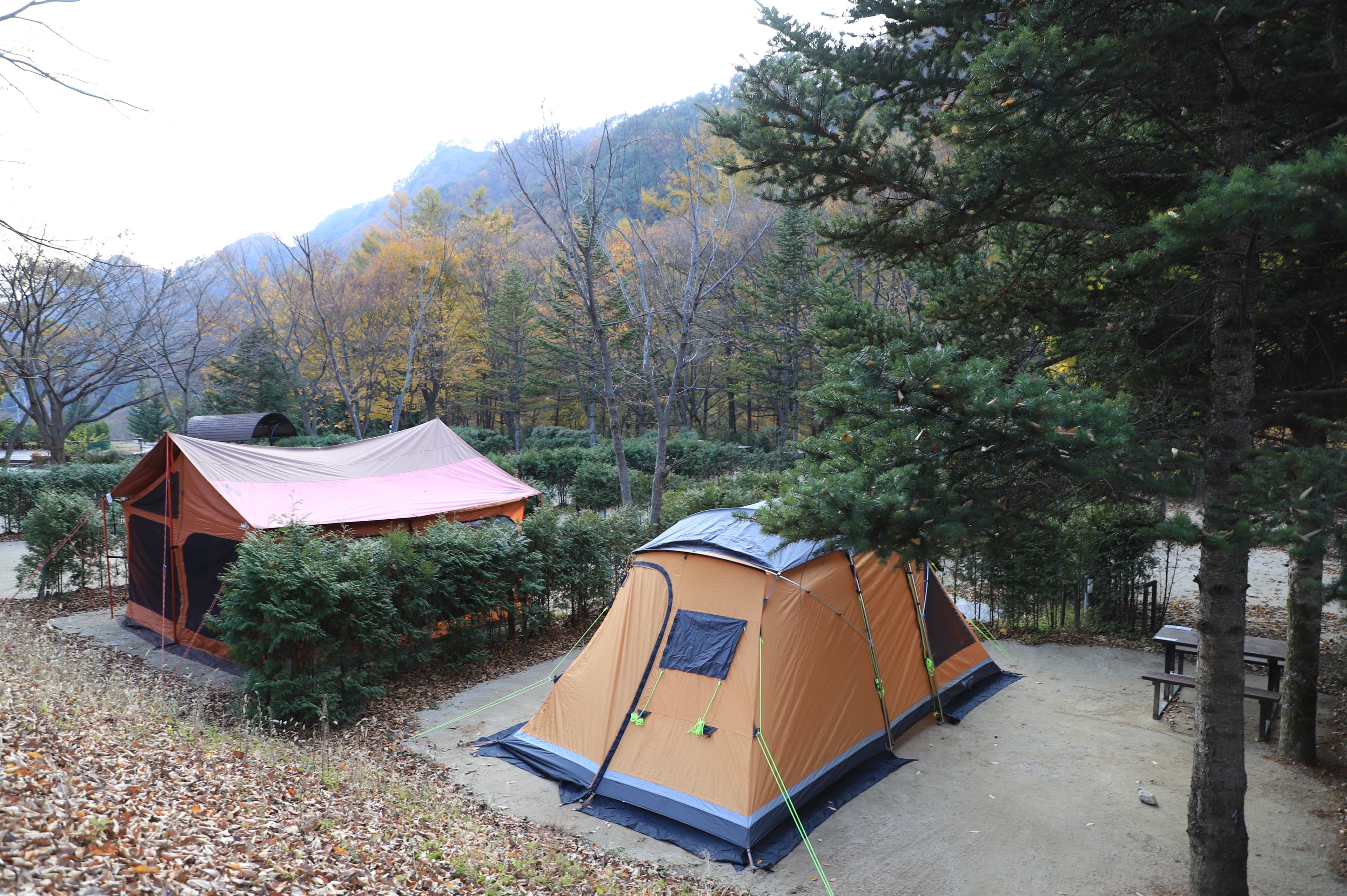금대자동차야영장(치악산국립공원) 이미지 2