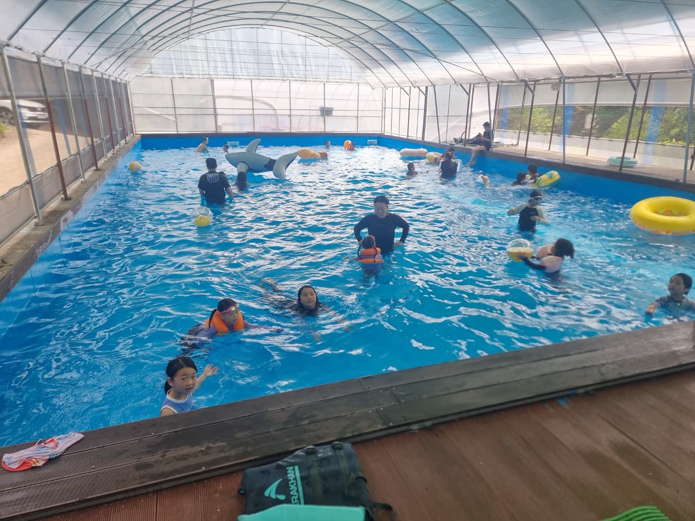 내안의 숲 이미지 2