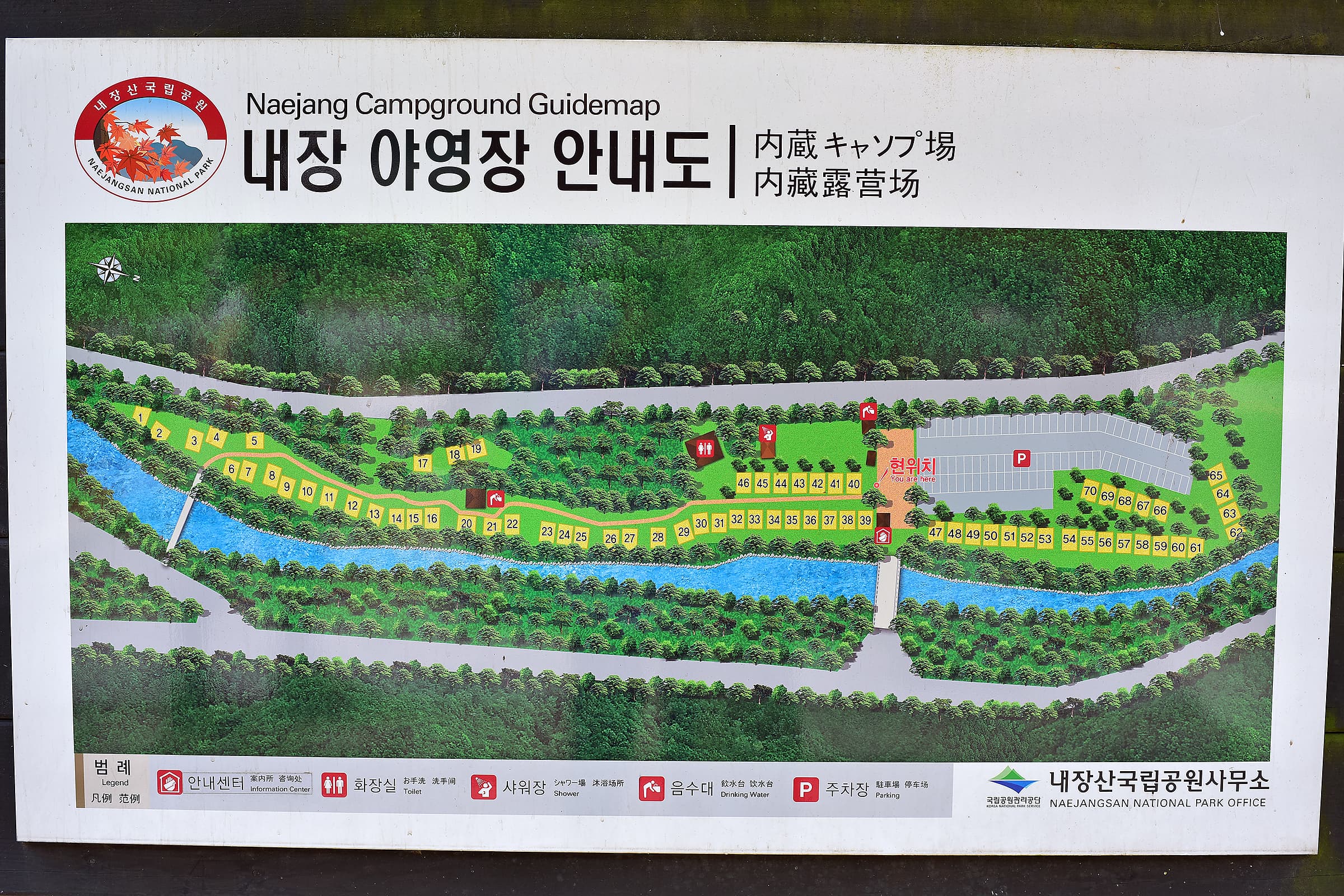 내장산국립공원 내장야영장