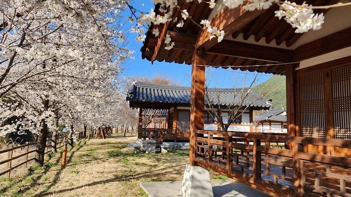 농월정오토캠핑장